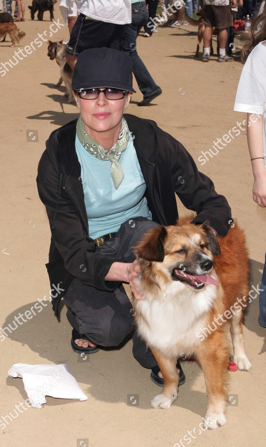 Kim Basinger Dog Jack Jack Editorial Stock Photo - Stock Image ...