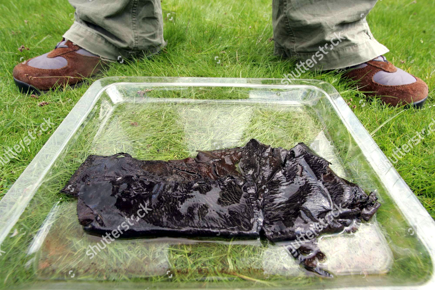 Archaeologists Have Unearthed Britains Oldest Shoe Editorial Stock Photo -  Stock Image | Shutterstock