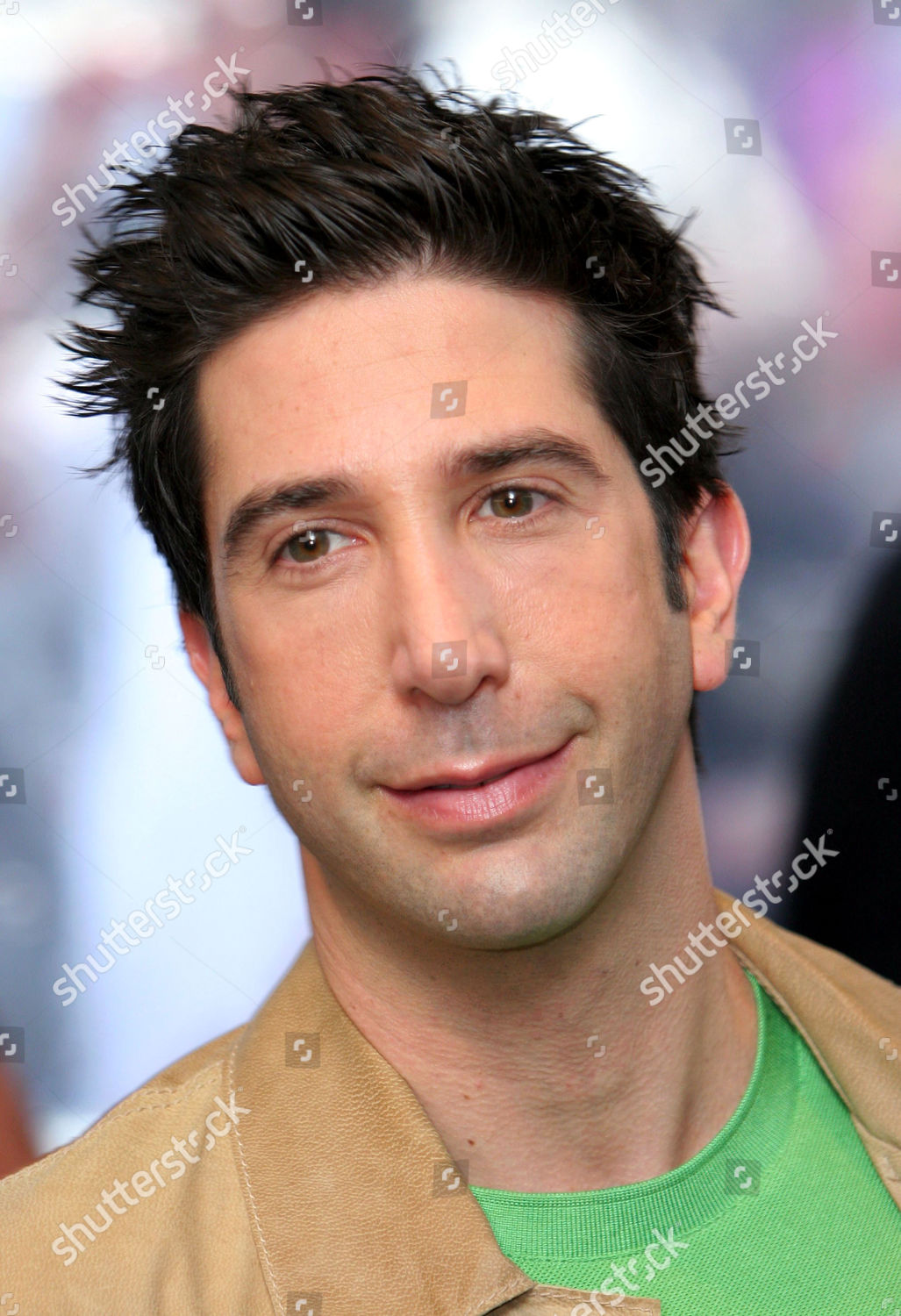 David Schwimmer Editorial Stock Photo - Stock Image | Shutterstock
