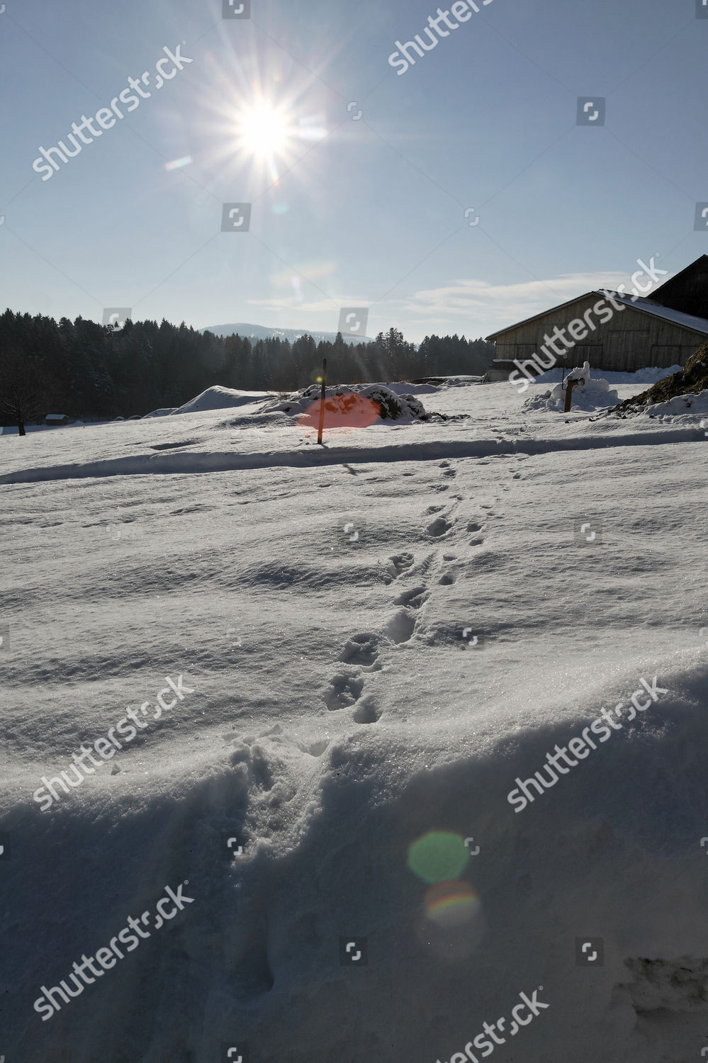 Stiefenhofen Allgaeu Deu05012006 Allgaeu Winter Beautiful Editorial ...