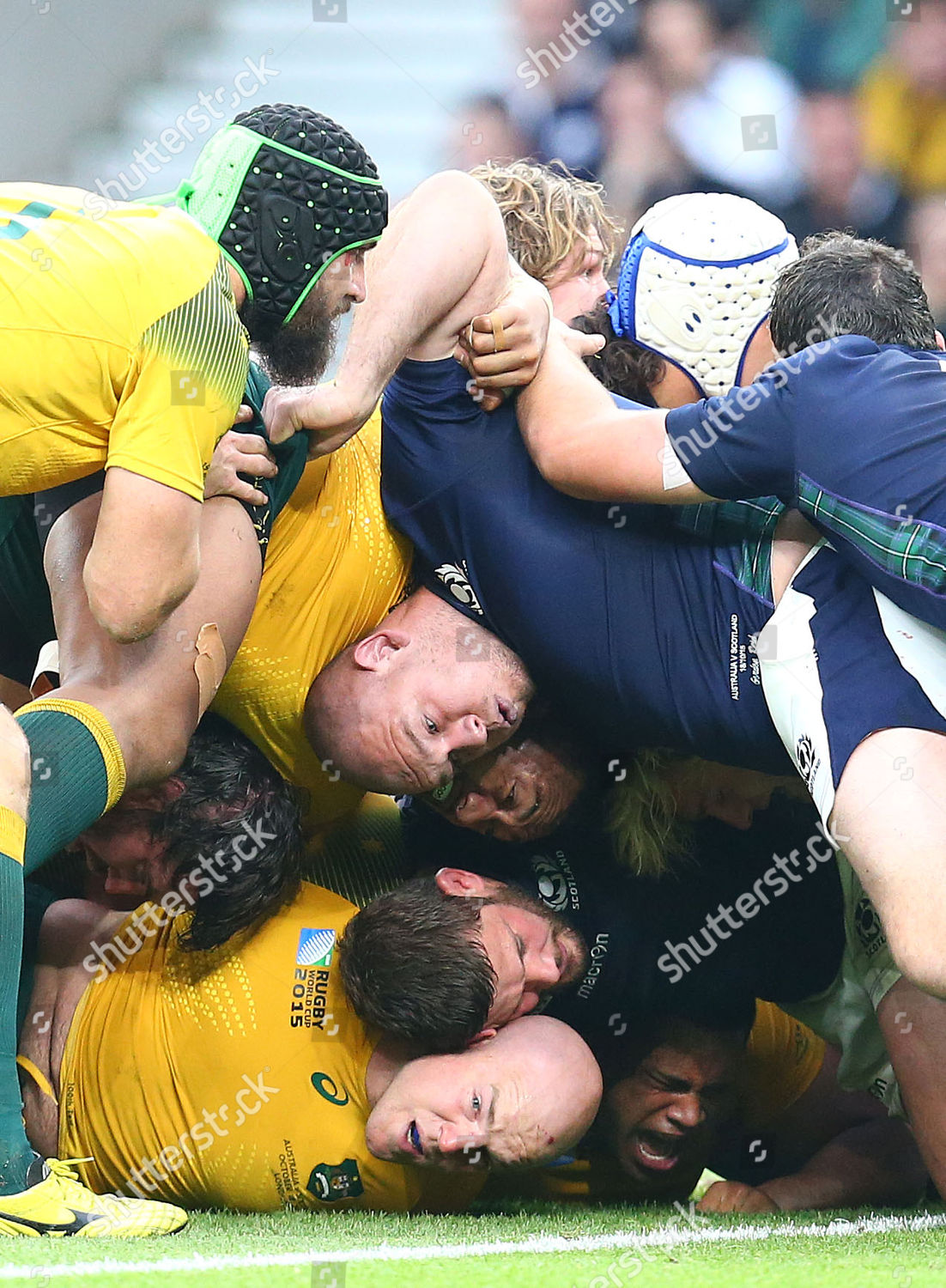 Australia Scotland Front Rows Collapse During Scrum Editorial Stock Photo Stock Image Shutterstock