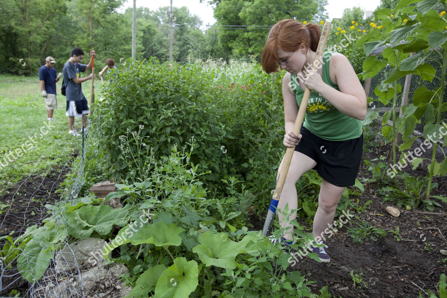 high-school-students-work-community-garden-editorial-stock-photo