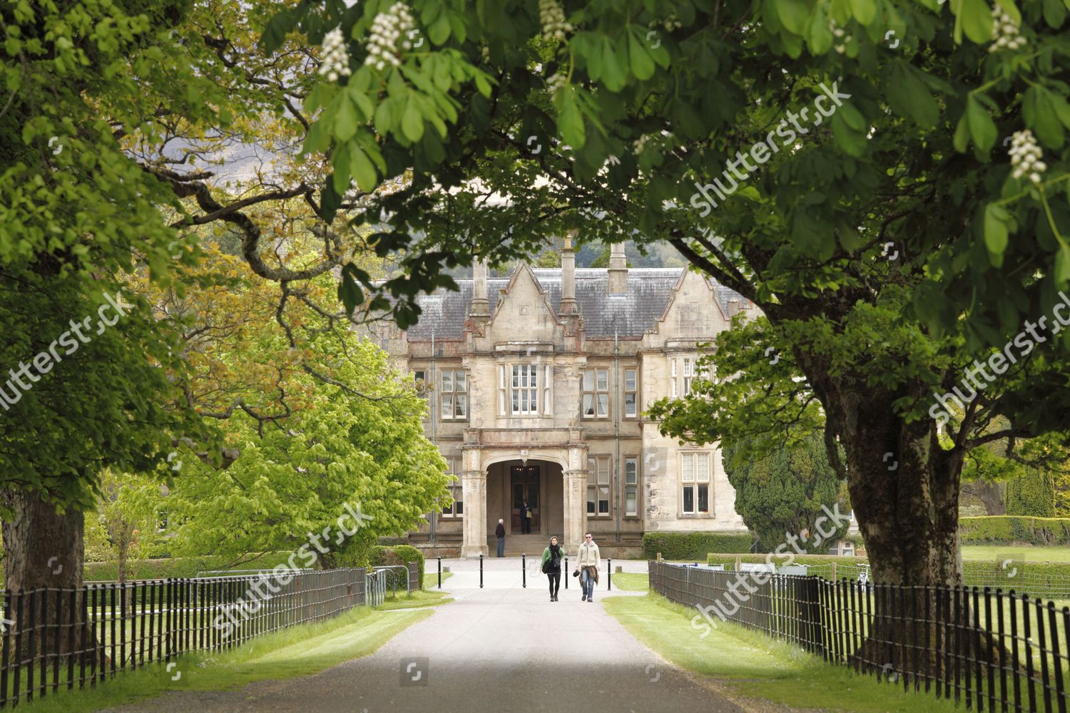 Muckross House Gardens Killarney National Park County Editorial