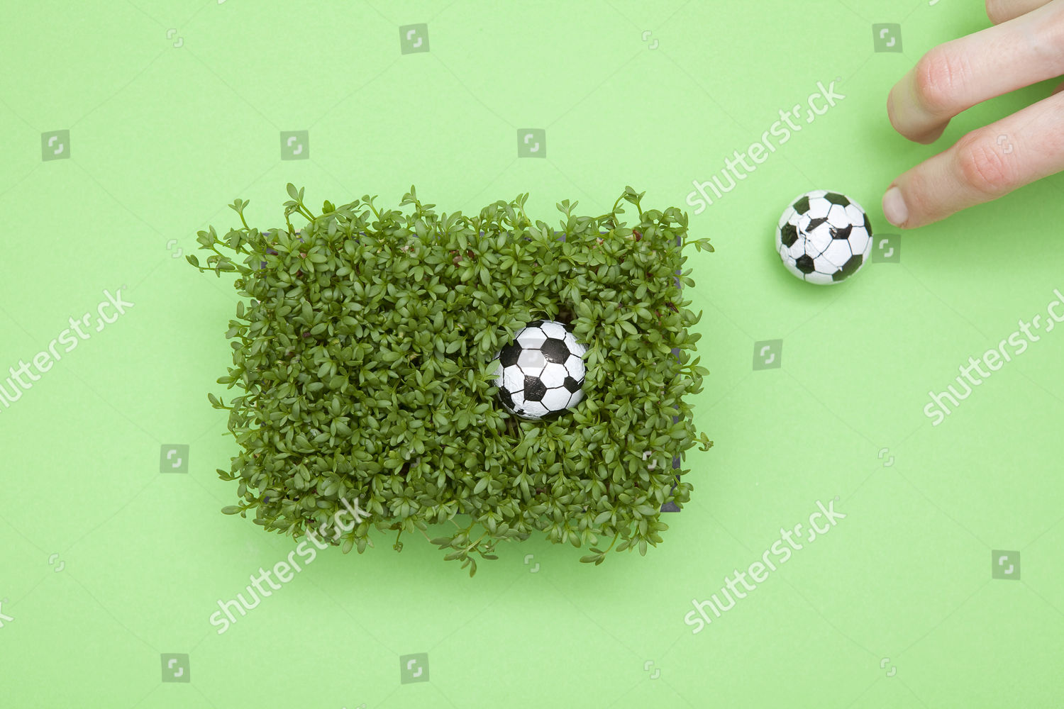 Fresh Cress Miniature Footballs Hand Editorial Stock Photo Stock