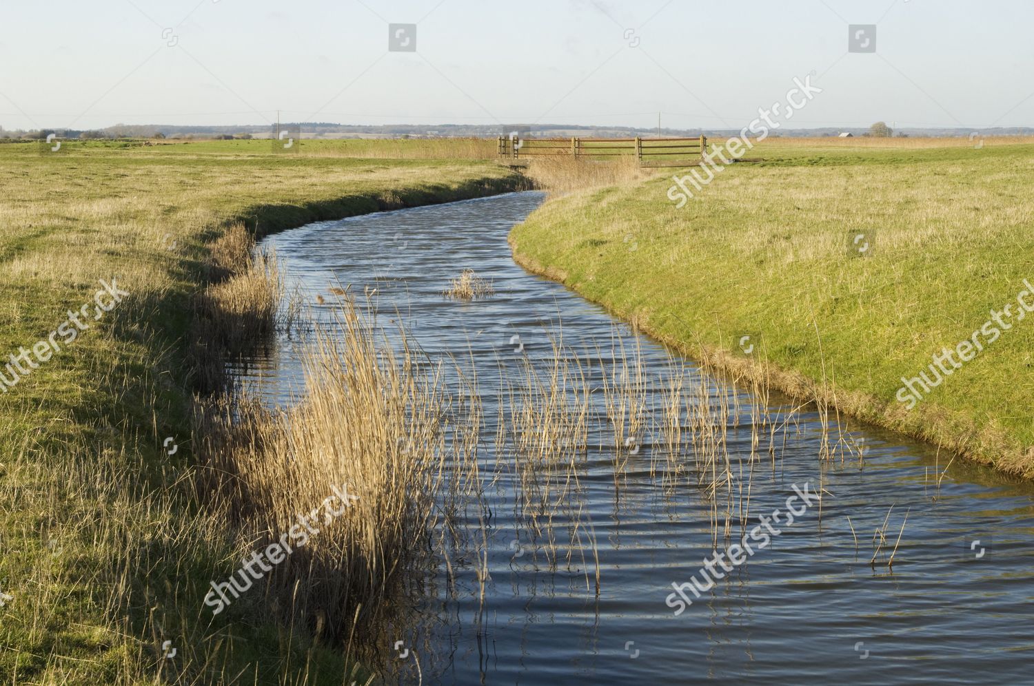 Wetland Drainage Ditch Pasture Brookland Romney Editorial Stock Photo ...