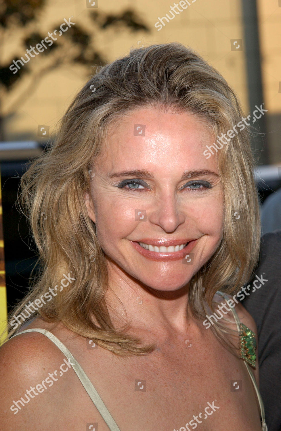 Priscilla Barnes Editorial Stock Photo Stock Image Shutterstock