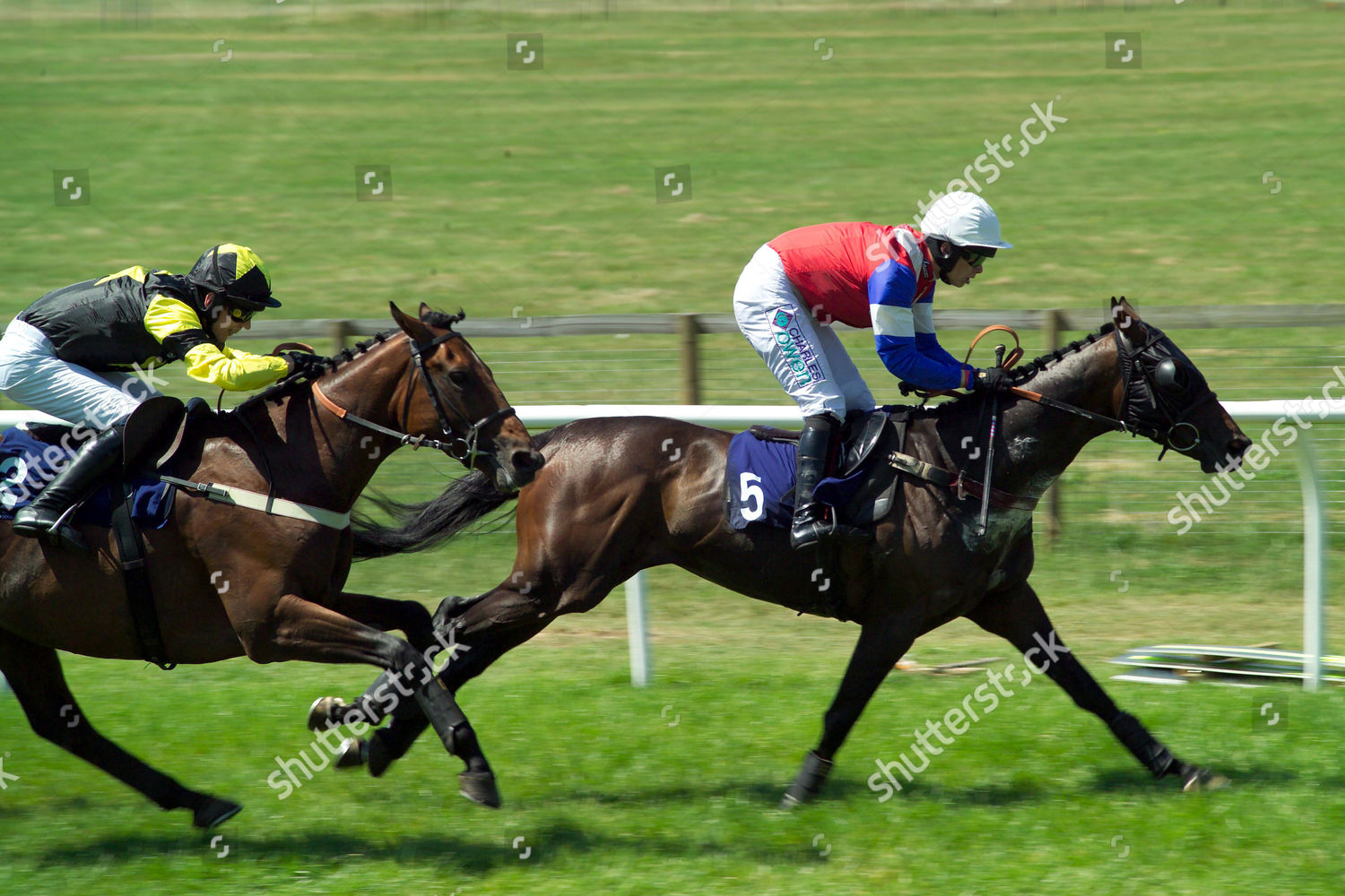 Horses Racing Stratford Upon Avon Race Editorial Stock Photo Stock