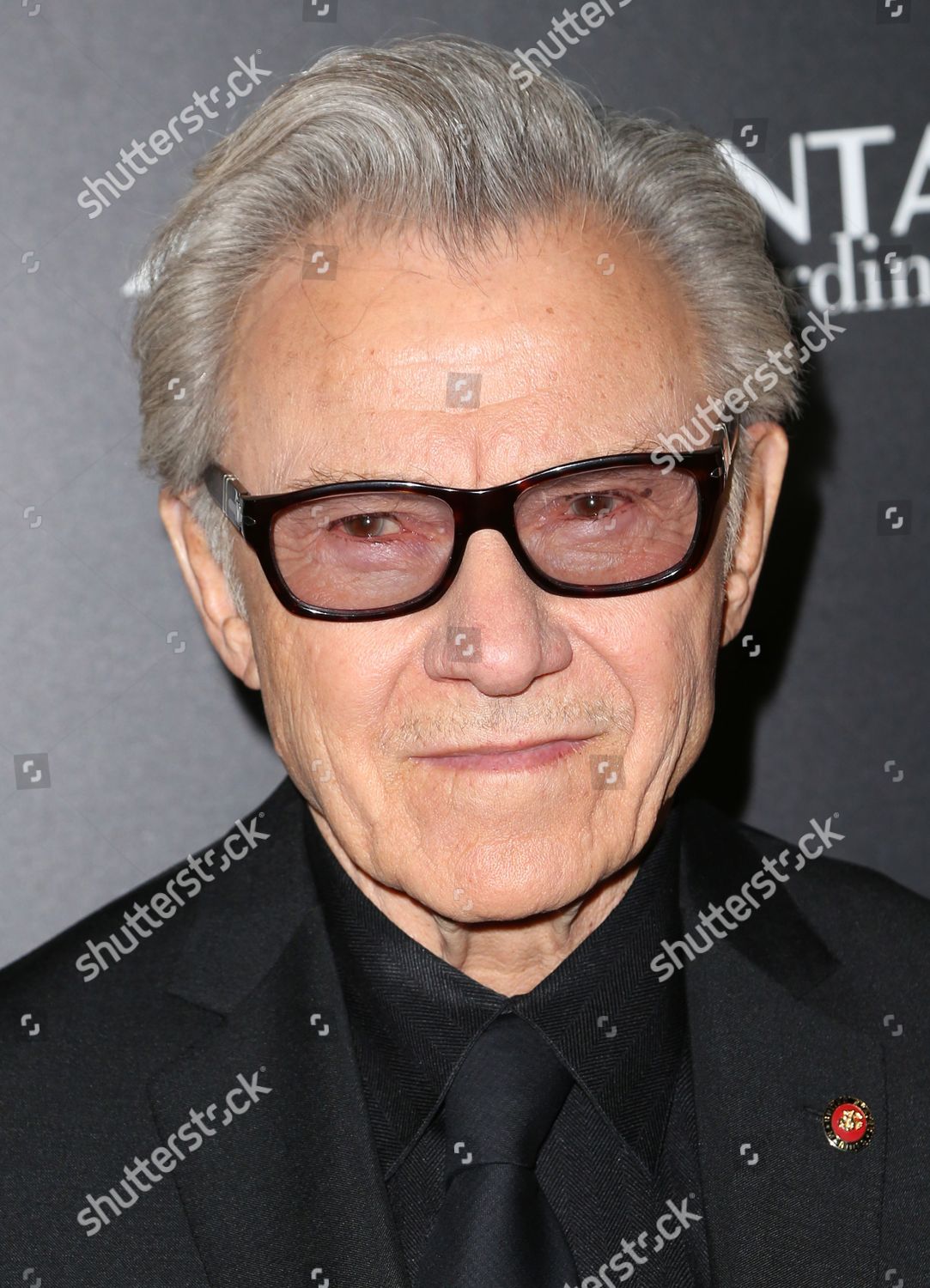 Harvey Keitel Editorial Stock Photo - Stock Image | Shutterstock