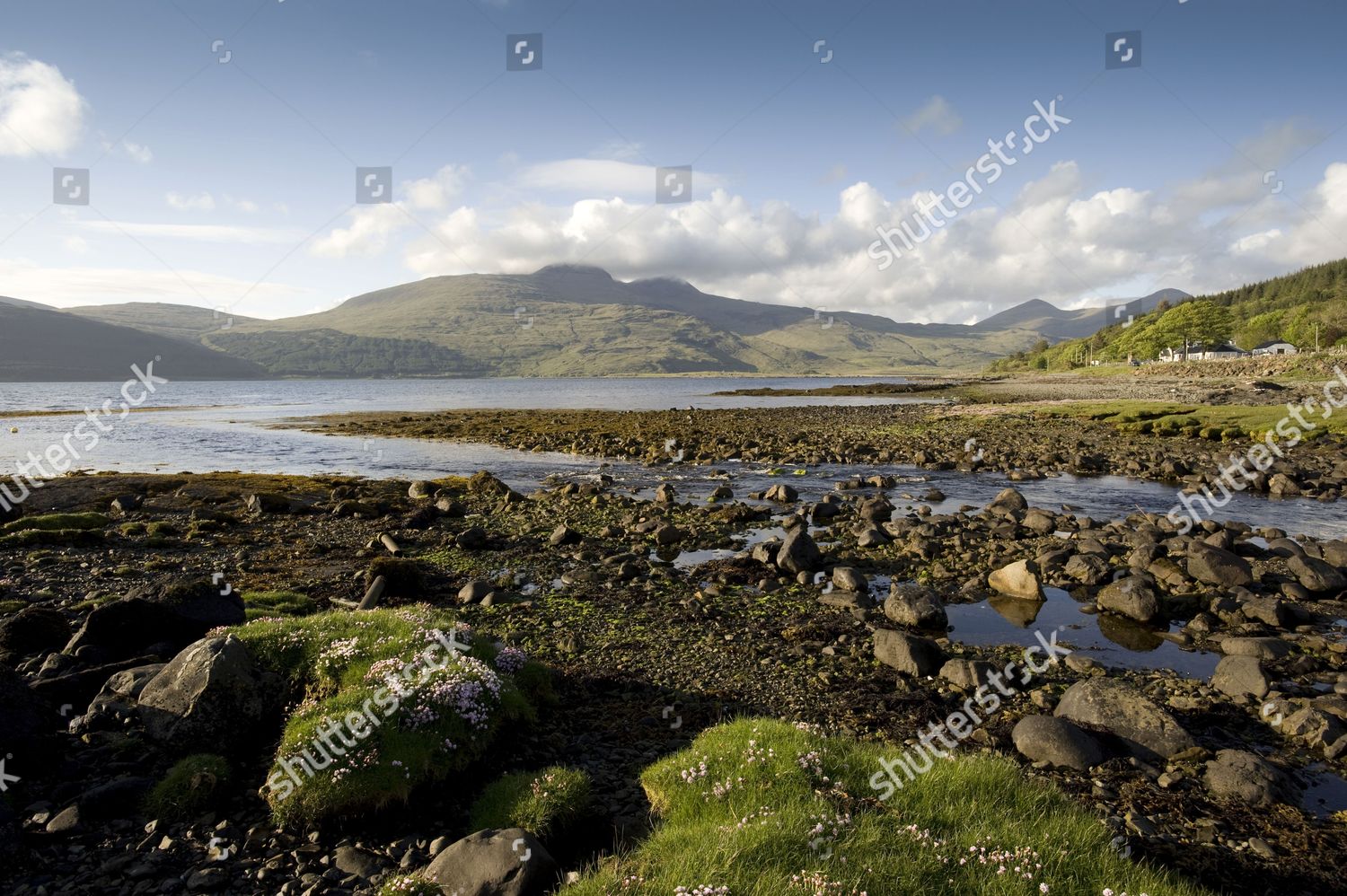 Isle Mull Loch Scridain Scotland Uk Editorial Stock Photo - Stock Image ...