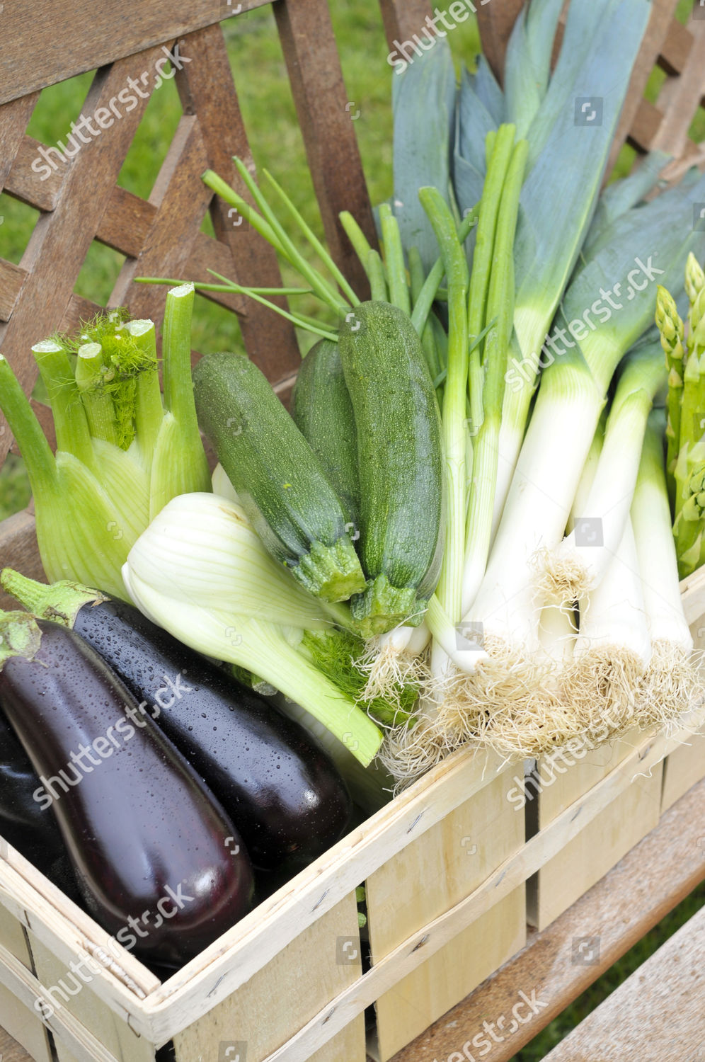 Green Asparagus Eggplants Zucchini Spring Onions Editorial Stock Photo