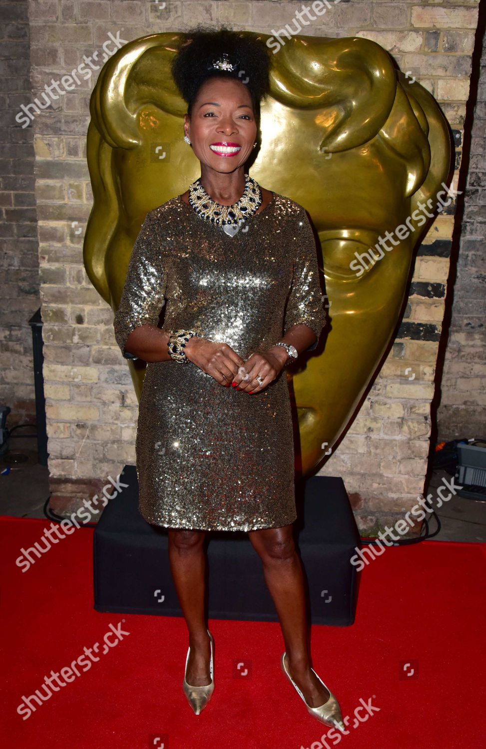 Floella Benjamin Editorial Stock Photo Stock Image Shutterstock   Shutterstock 5412258z 