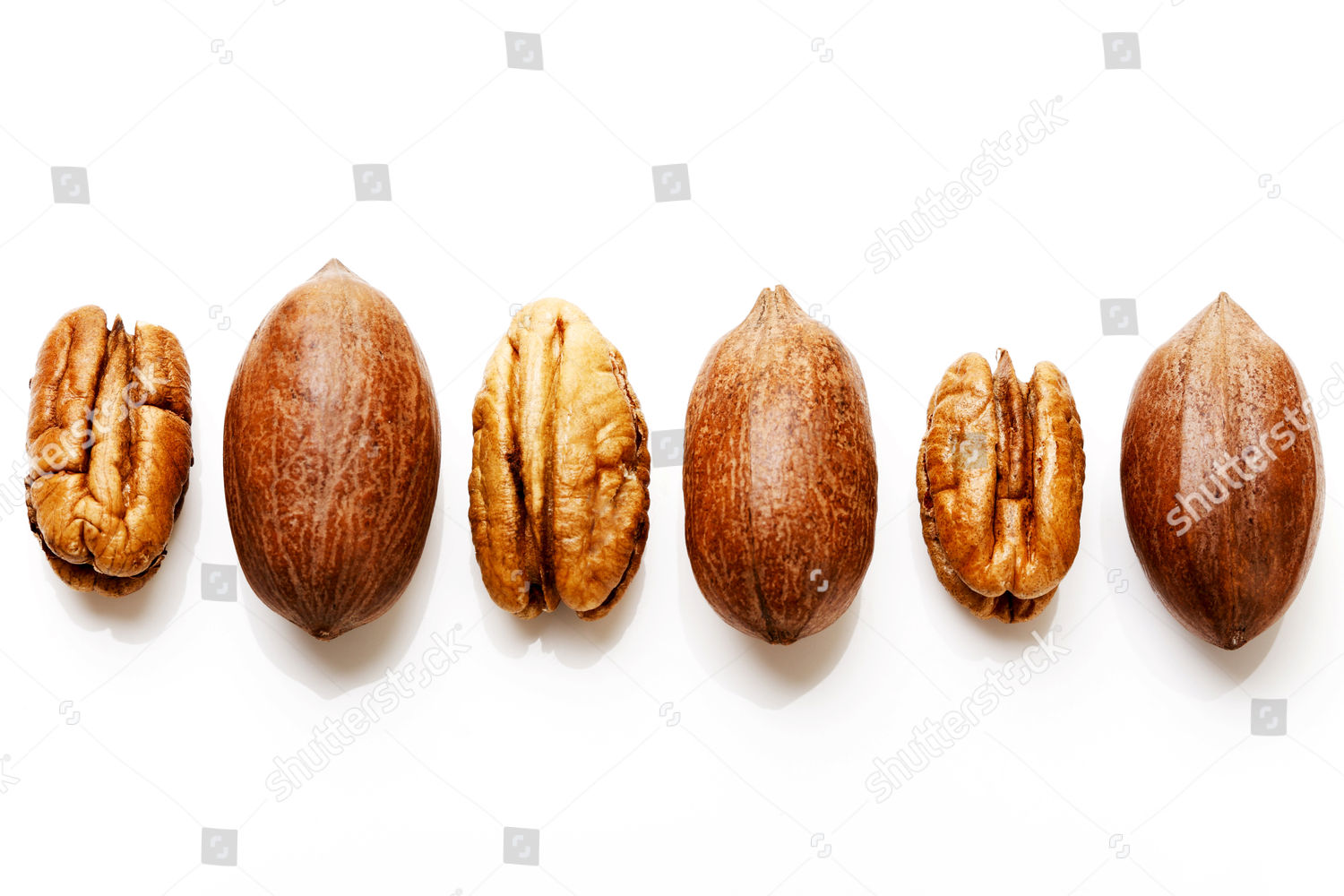 Pecans Without Shells Editorial Stock Photo Stock Image Shutterstock