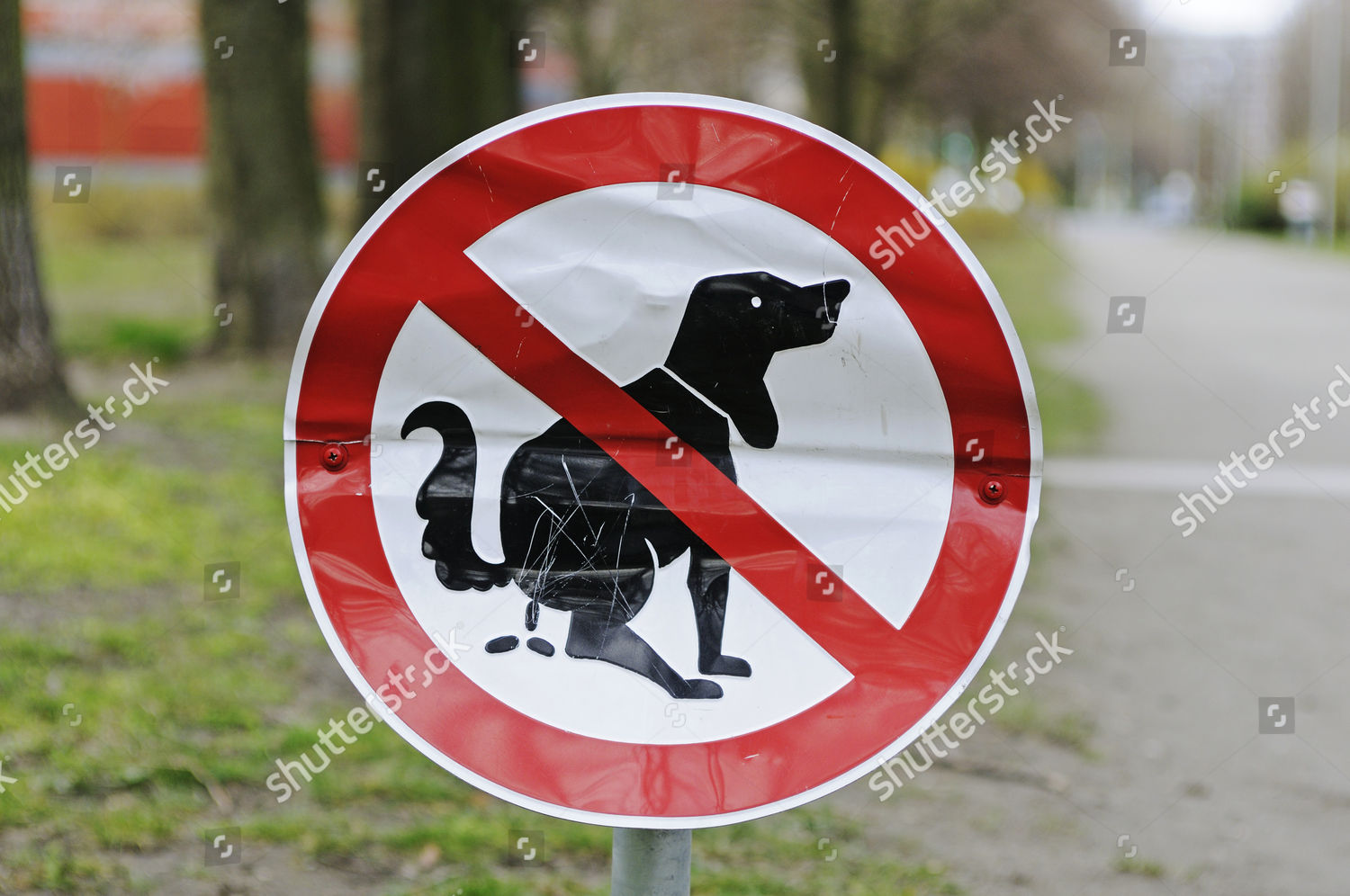 dented-sign-no-dogs-allowed-on-editorial-stock-photo-stock-image