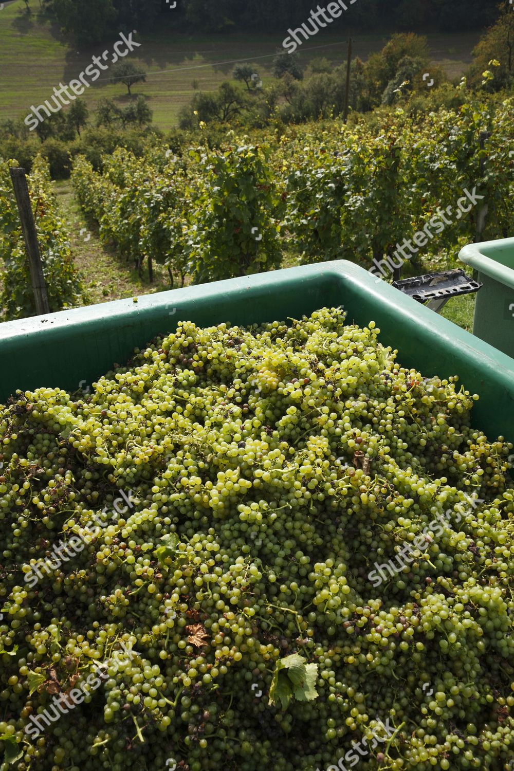 Vintage Feuerthal Near Hammelburg Rhoen Franconia Editorial Stock Photo