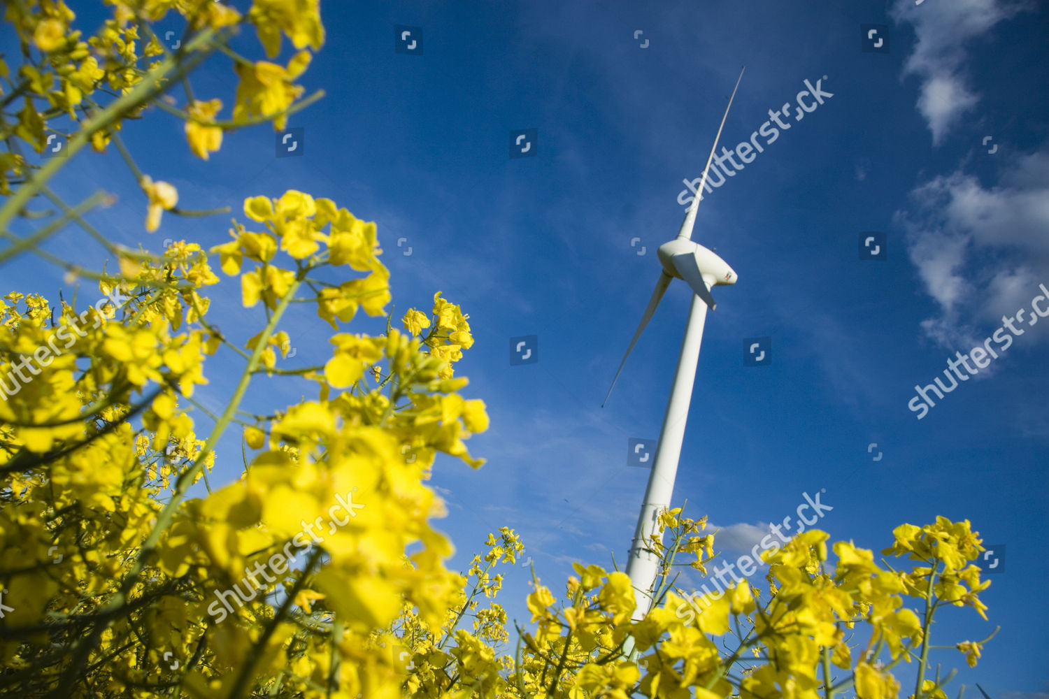 Regenerative Energy Editorial Stock Photo Stock Image Shutterstock