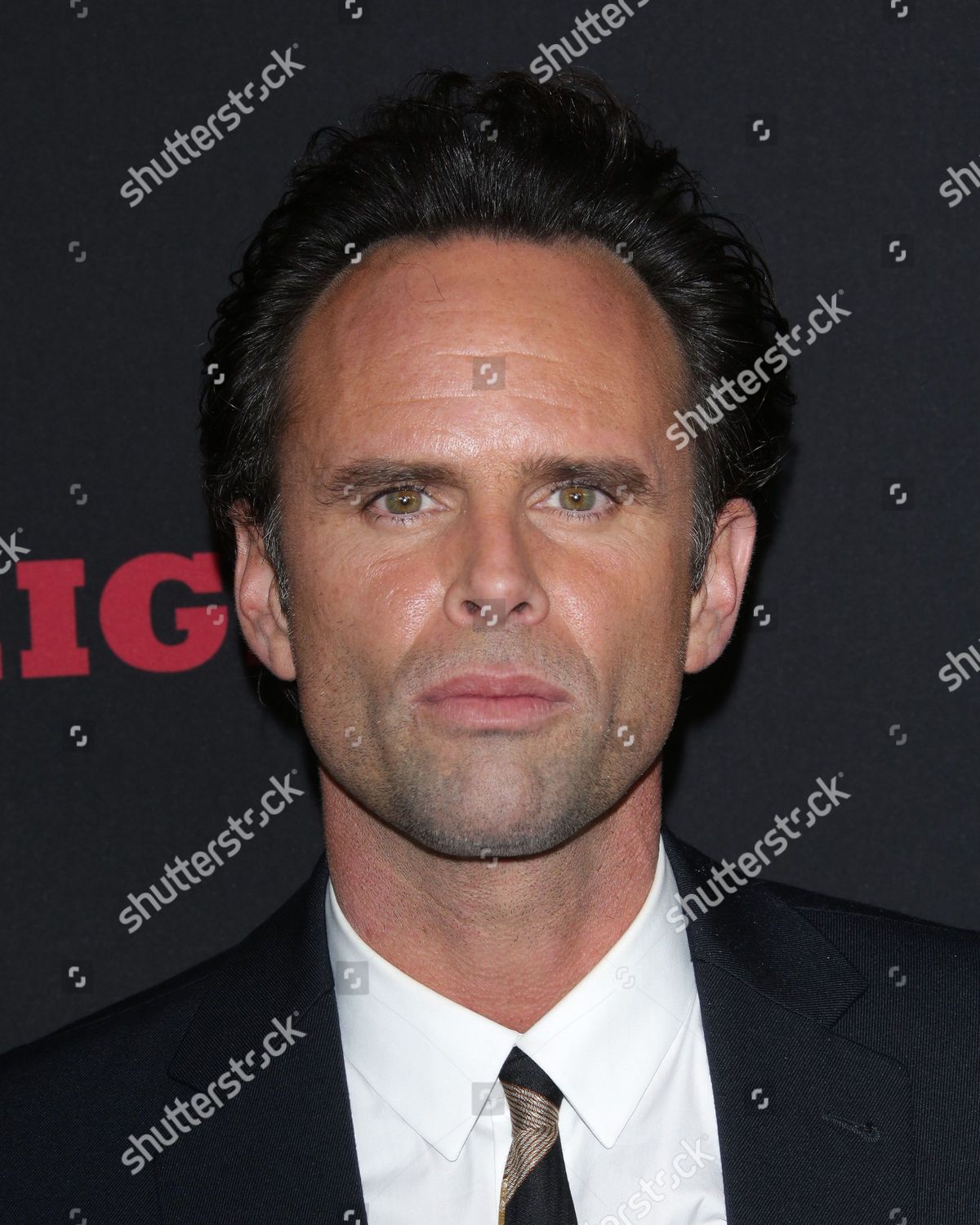 Walton Goggins Editorial Stock Photo - Stock Image | Shutterstock