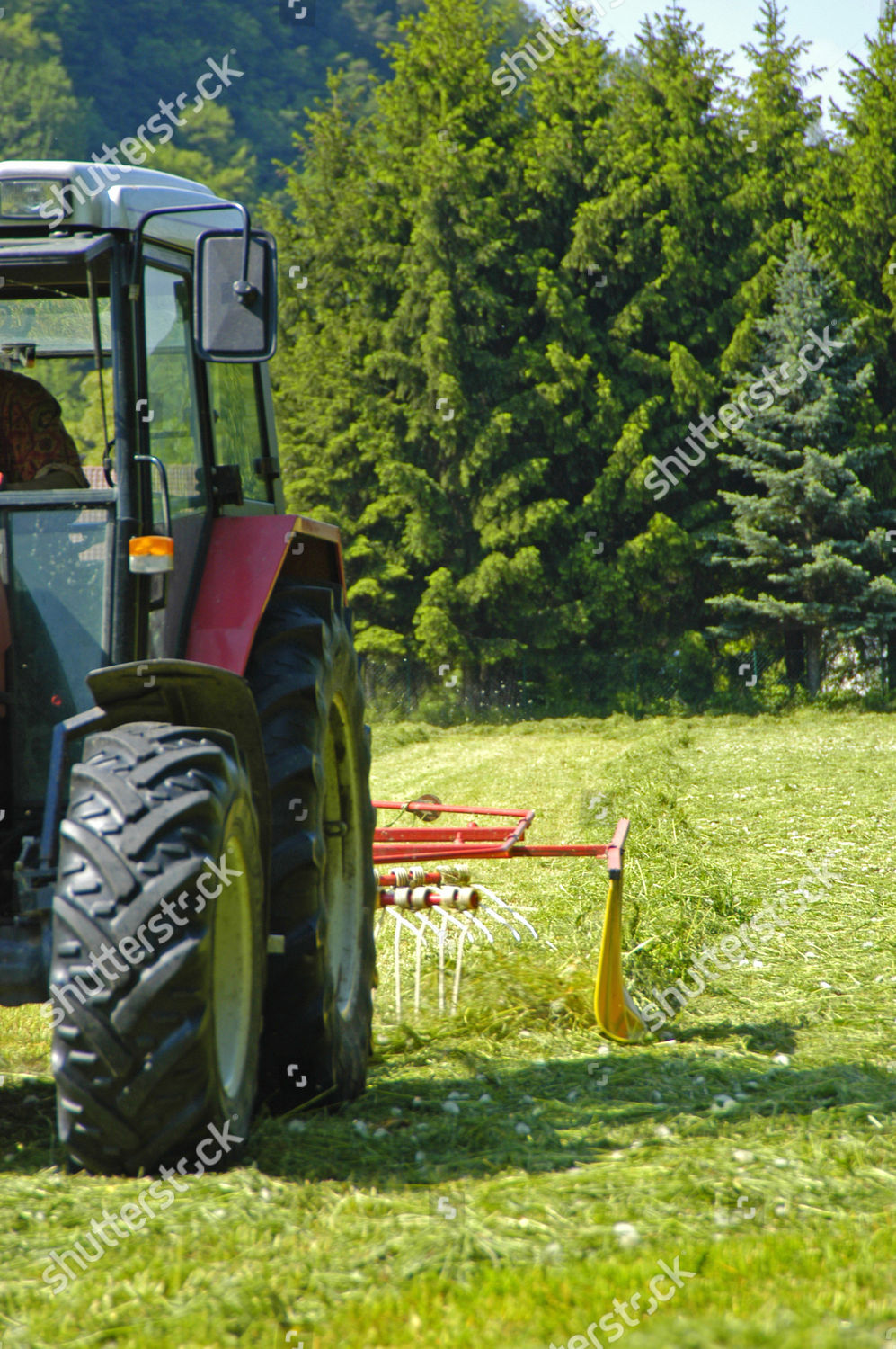 Tractor Turning Fresh Mowed Gras Around Editorial Stock Photo Stock