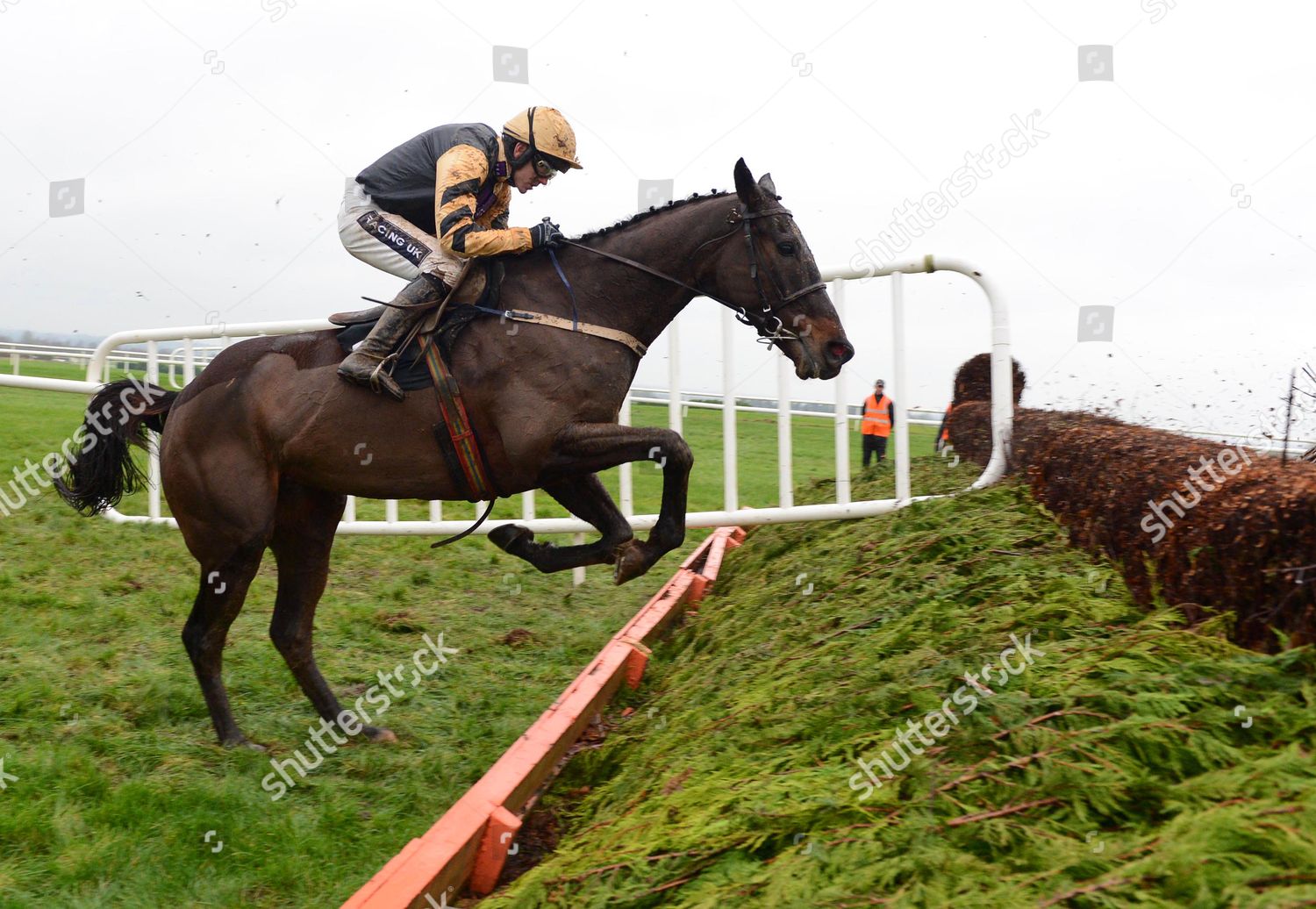 Navan Black Hercules Ruby Walsh Clear Editorial Stock Photo Stock