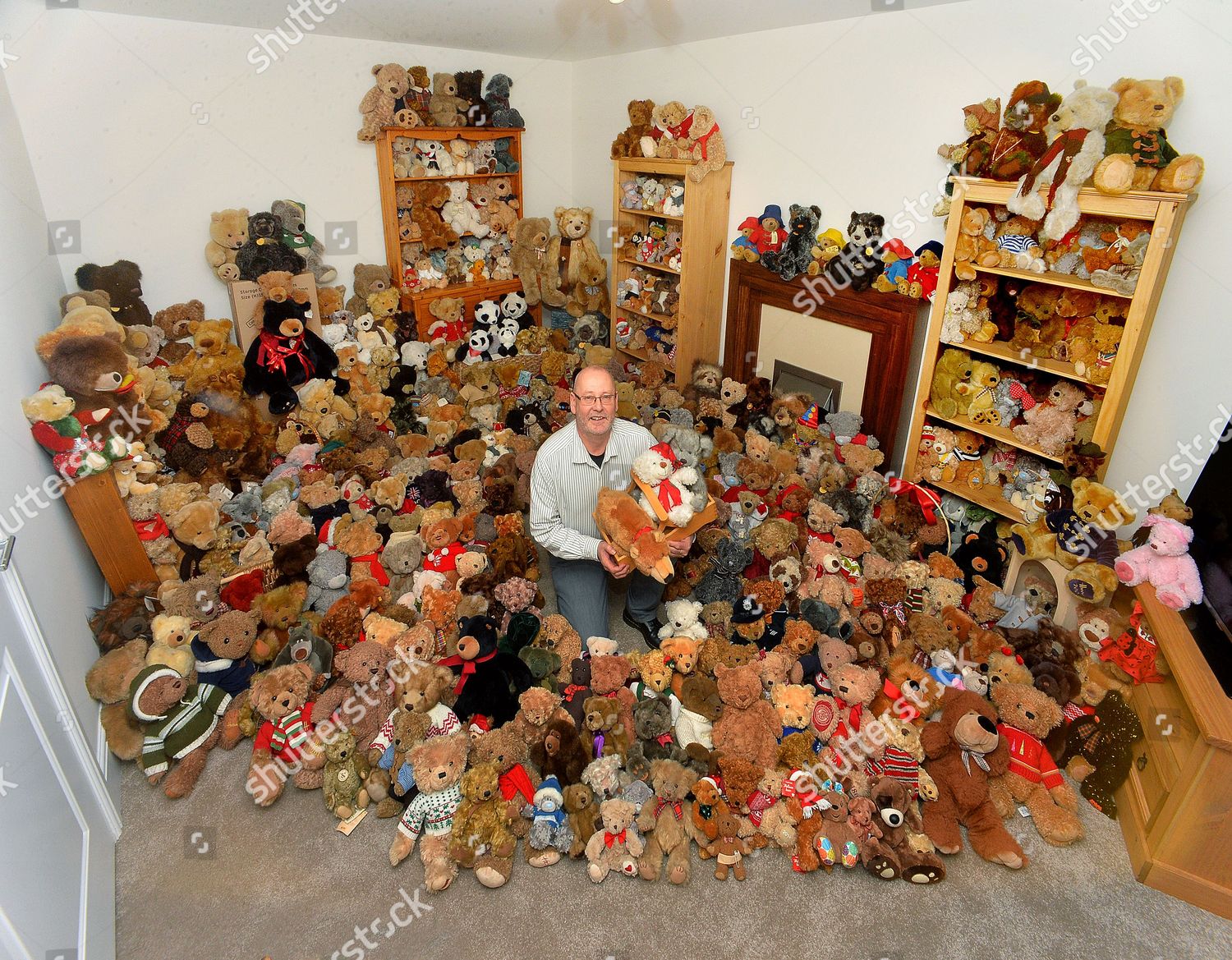 collecting teddy bears