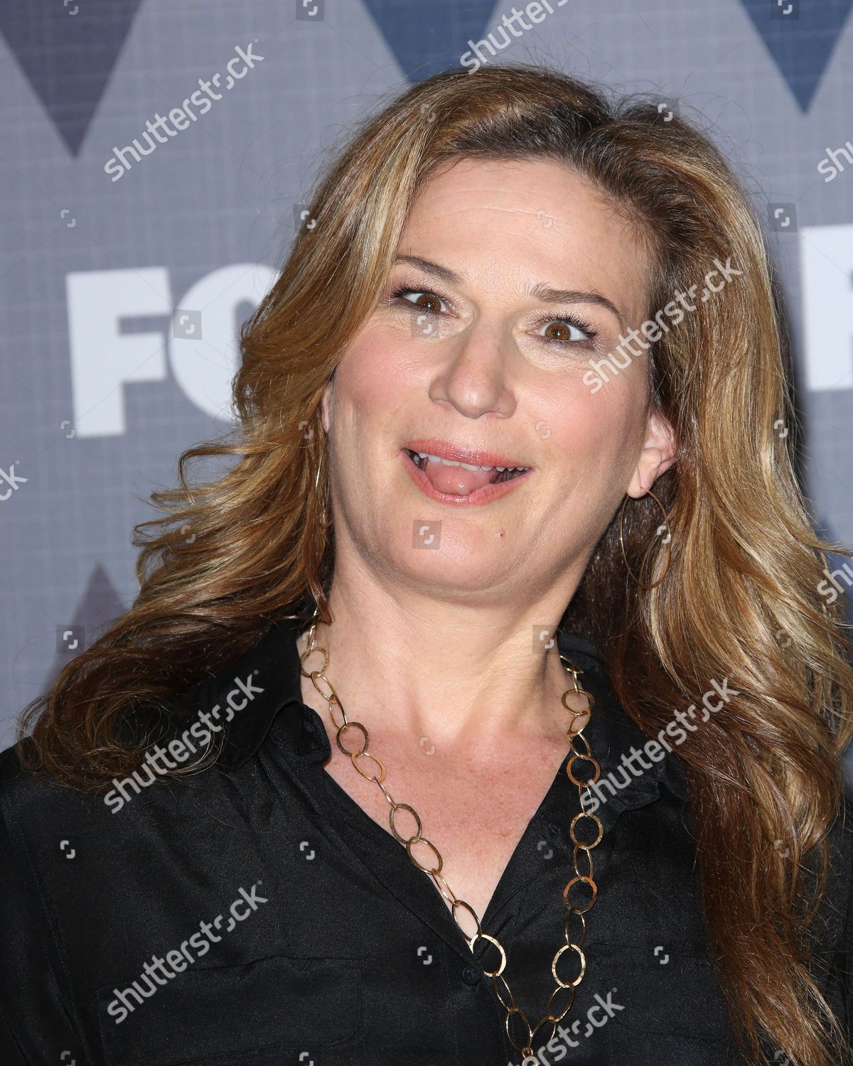 Ana Gasteyer Editorial Stock Photo - Stock Image | Shutterstock