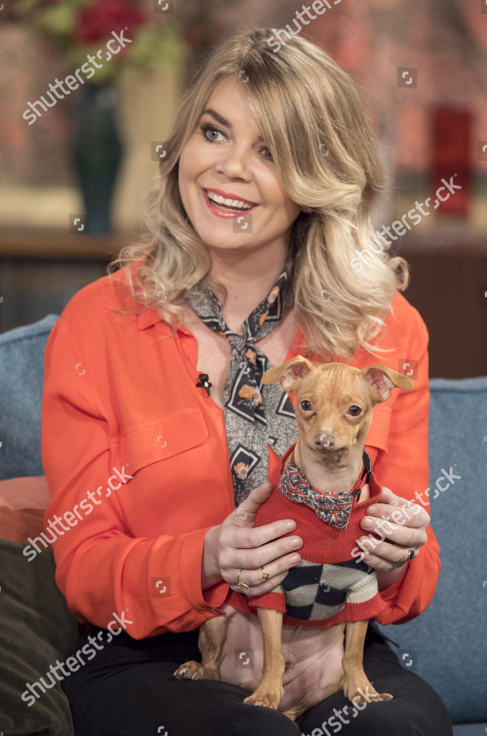 Tuna Dog Courtney Dasher Editorial Stock Photo Stock Image Shutterstock
