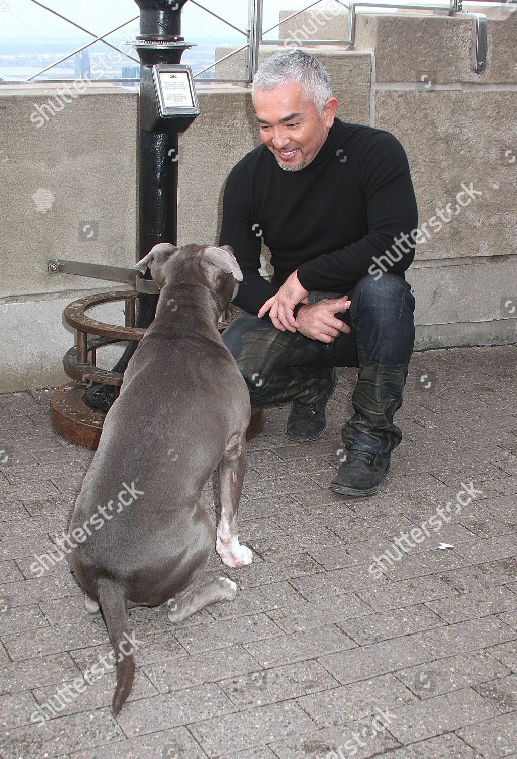 Cesar Millan Junior Redaktionelles Stockfoto Stockbild Shutterstock