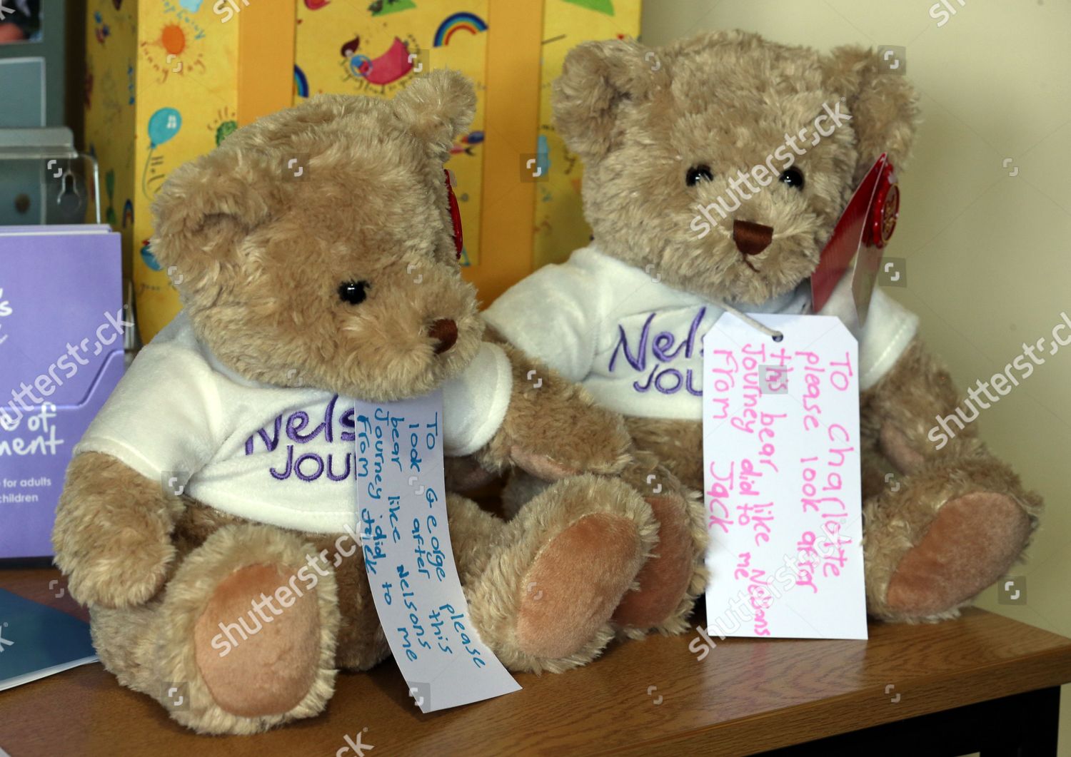 hospice bears