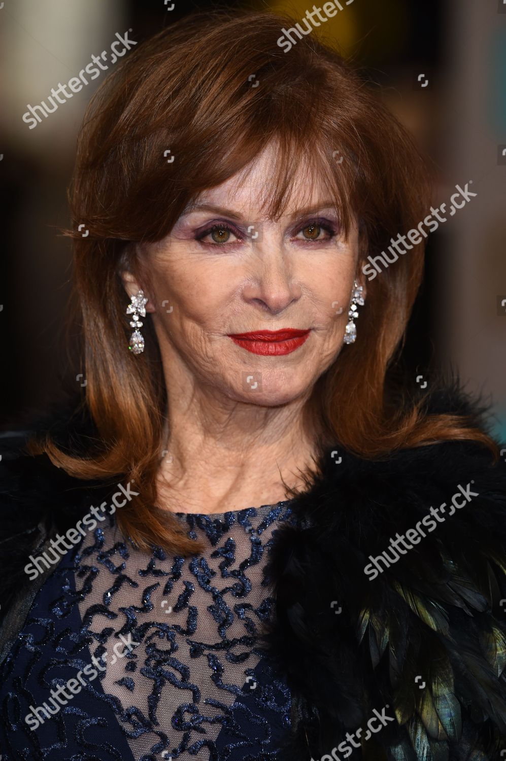 Stefanie Powers Editorial Stock Photo - Stock Image | Shutterstock