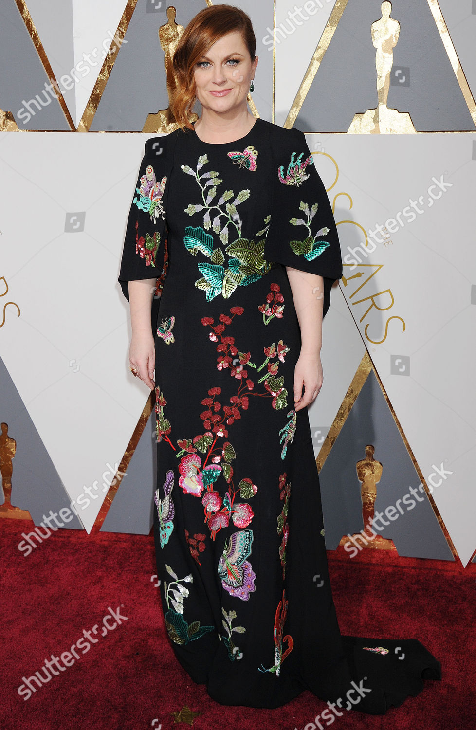 Amy Poehler Editorial Stock Photo - Stock Image | Shutterstock