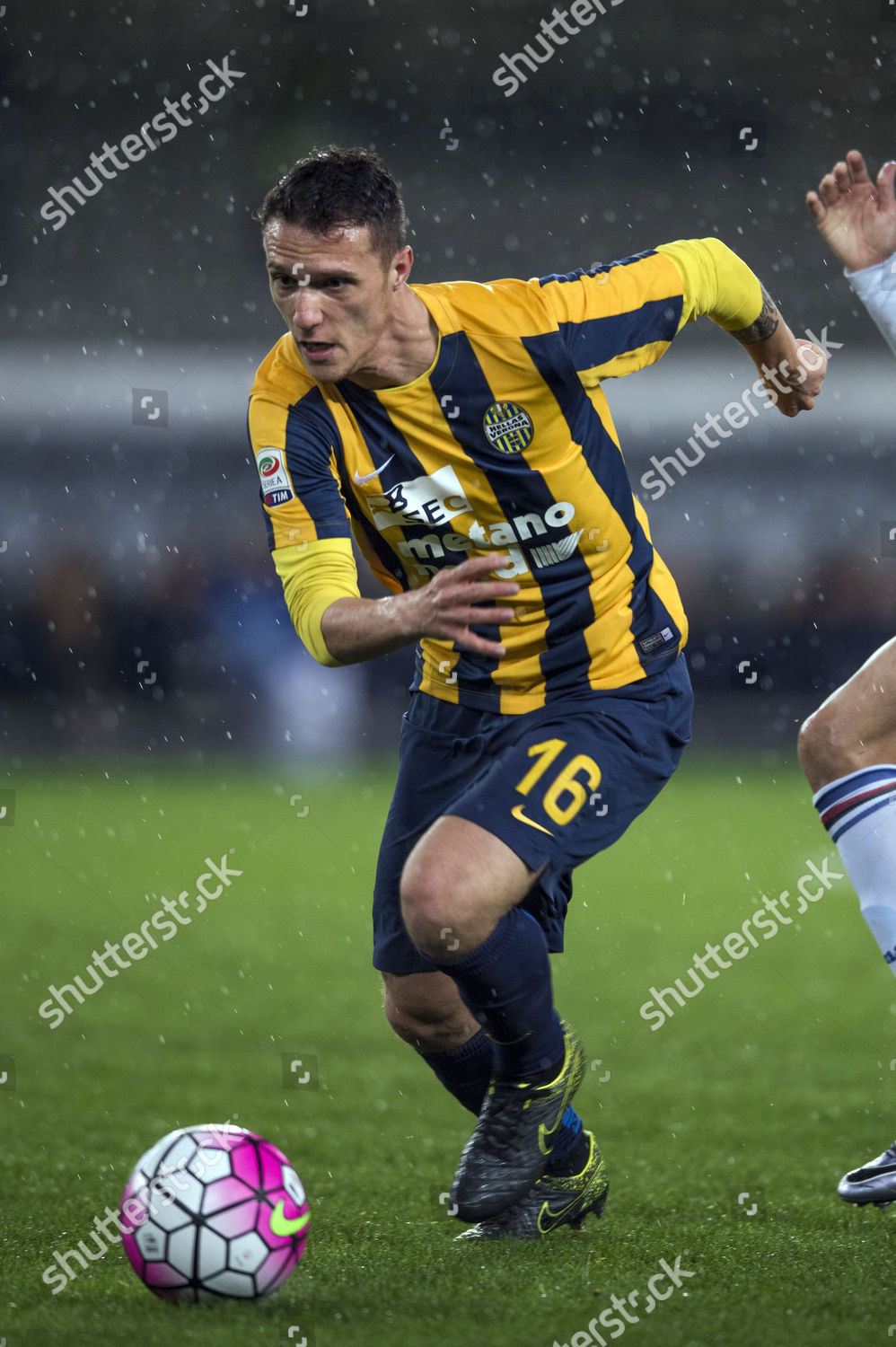 Luca Siligardi Hellas Editorial Stock Photo Stock Image Shutterstock