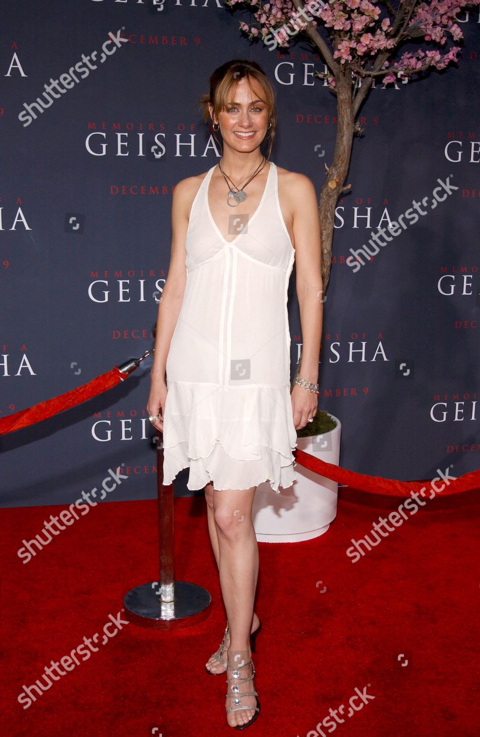 Diane Farr Editorial Stock Photo - Stock Image | Shutterstock