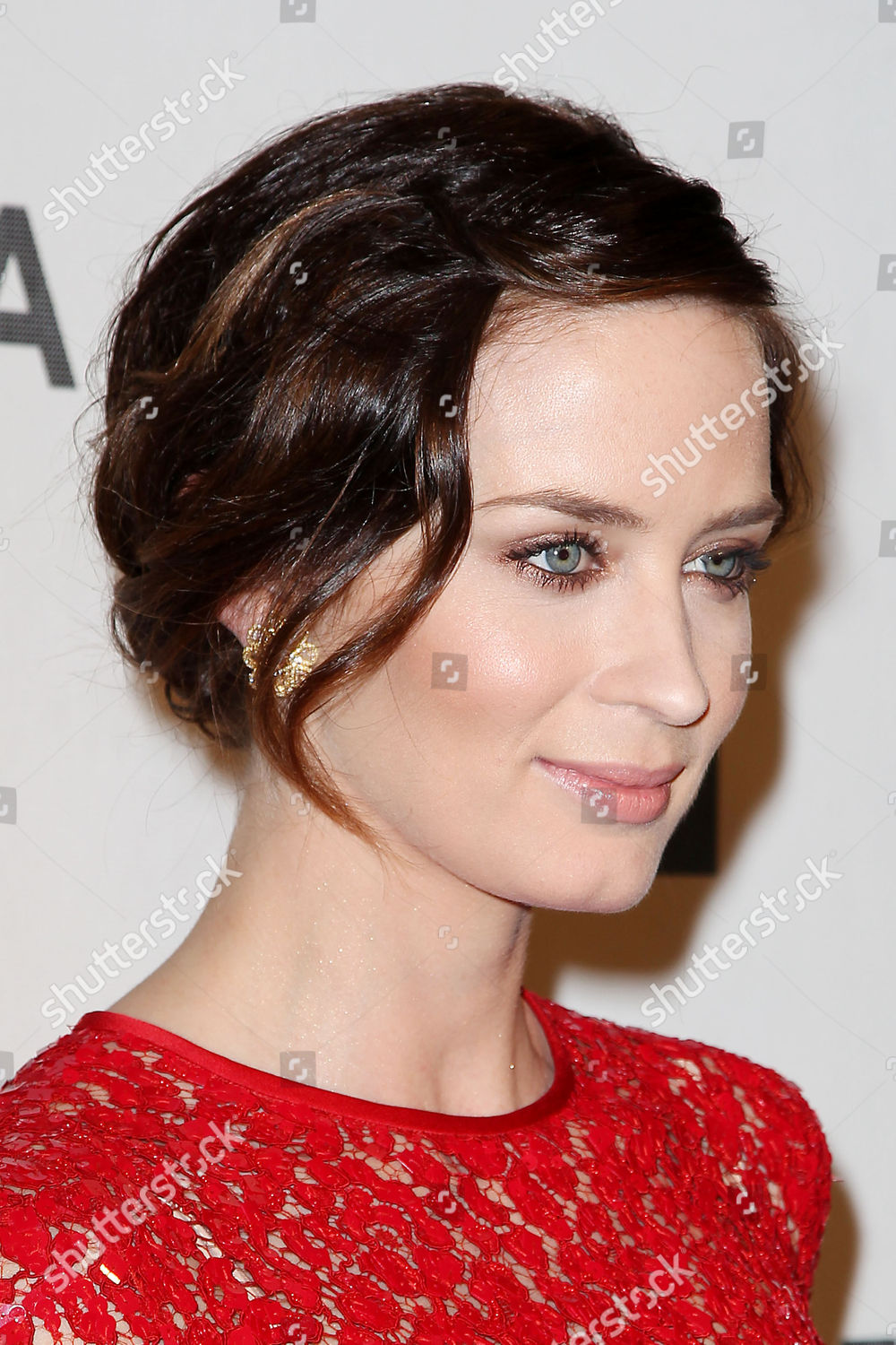 Emily Blunt Editorial Stock Photo - Stock Image | Shutterstock