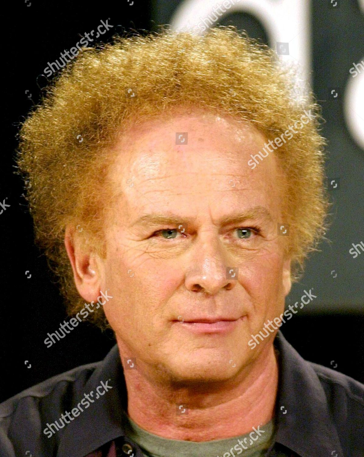 Art Garfunkel Editorial Stock Photo Stock Image Shutterstock