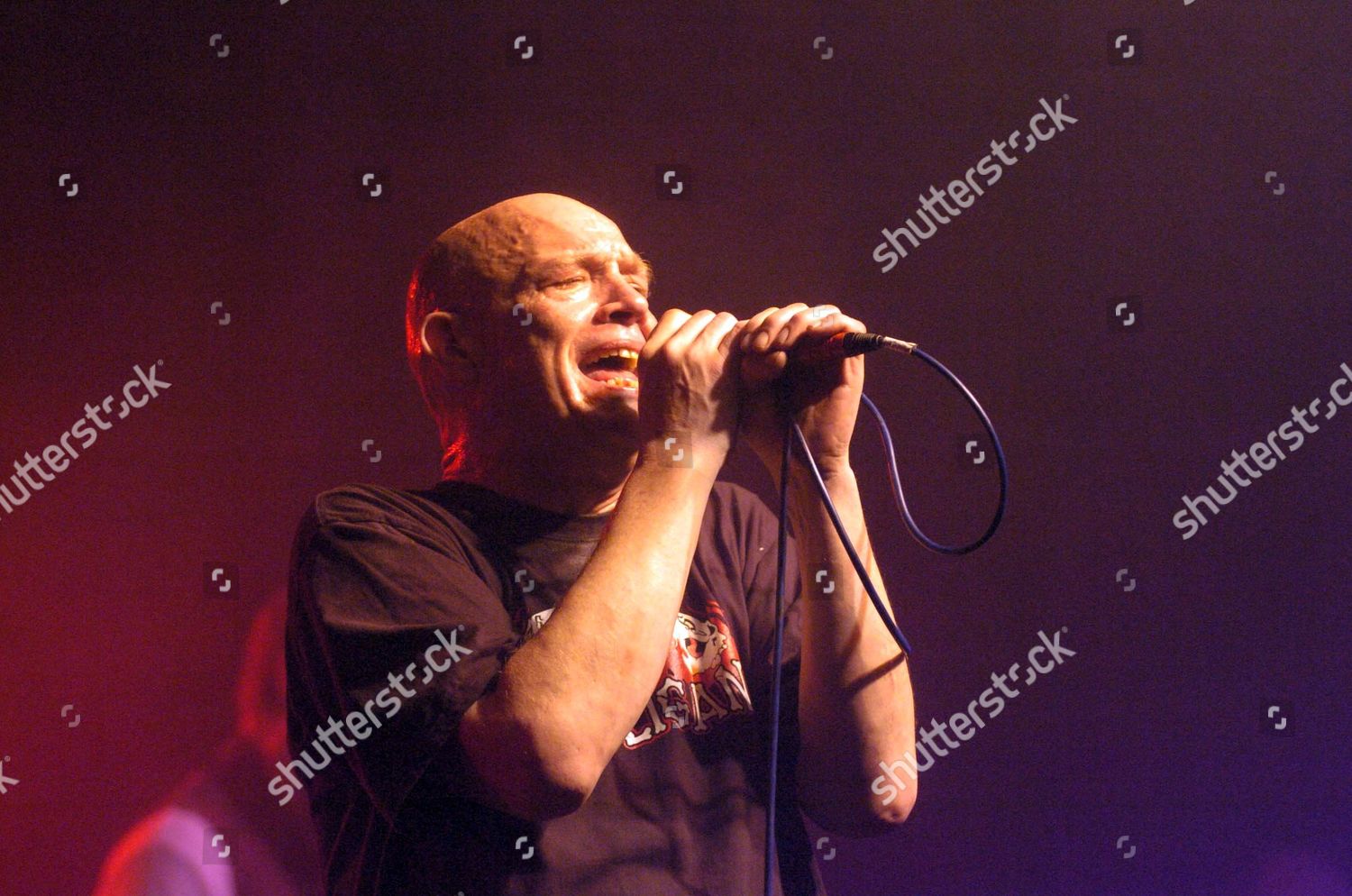 Buster Bloodvessel Editorial Stock Photo Stock Image Shutterstock