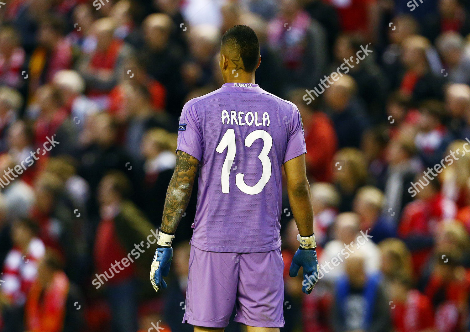 alphonse areola jersey