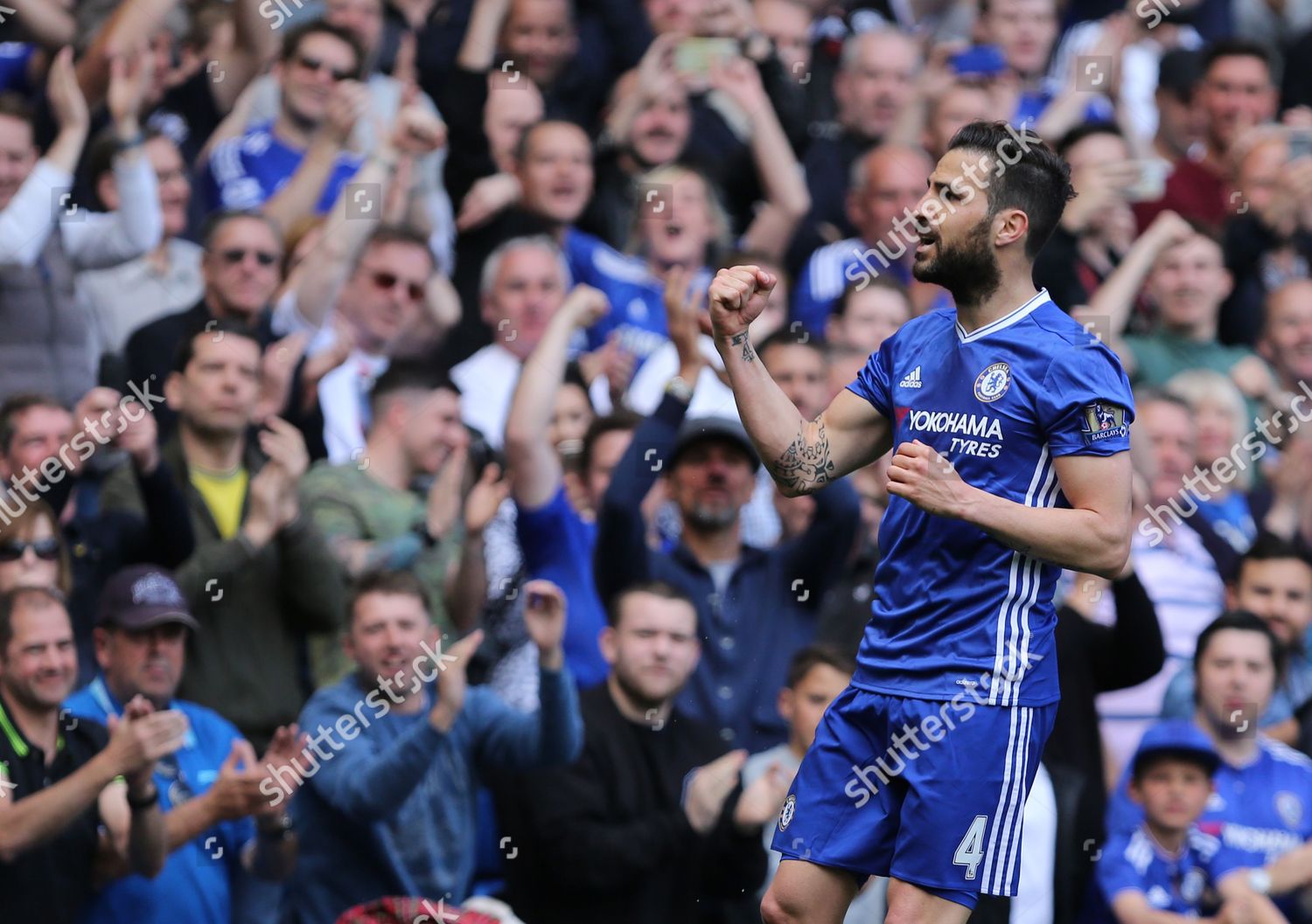 Cesc Fabregas Chelsea Scores First Goal Editorial Stock Photo Stock Image Shutterstock