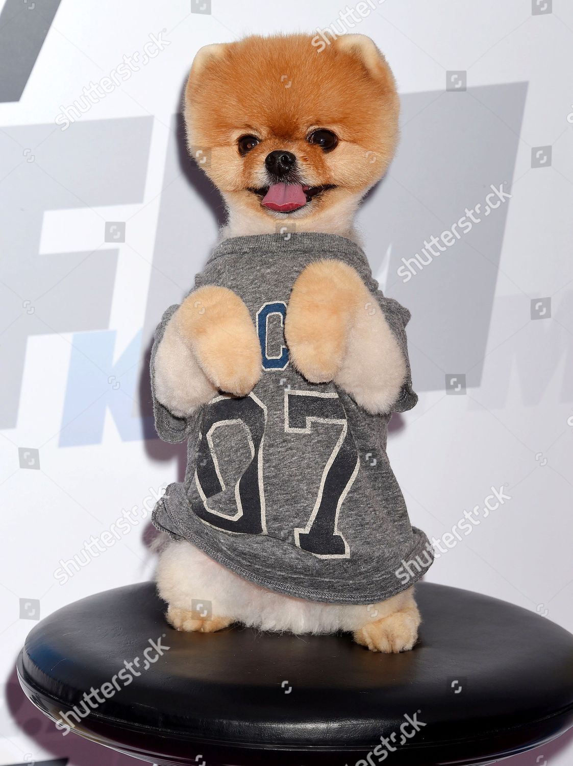 Jiffpom top t shirt