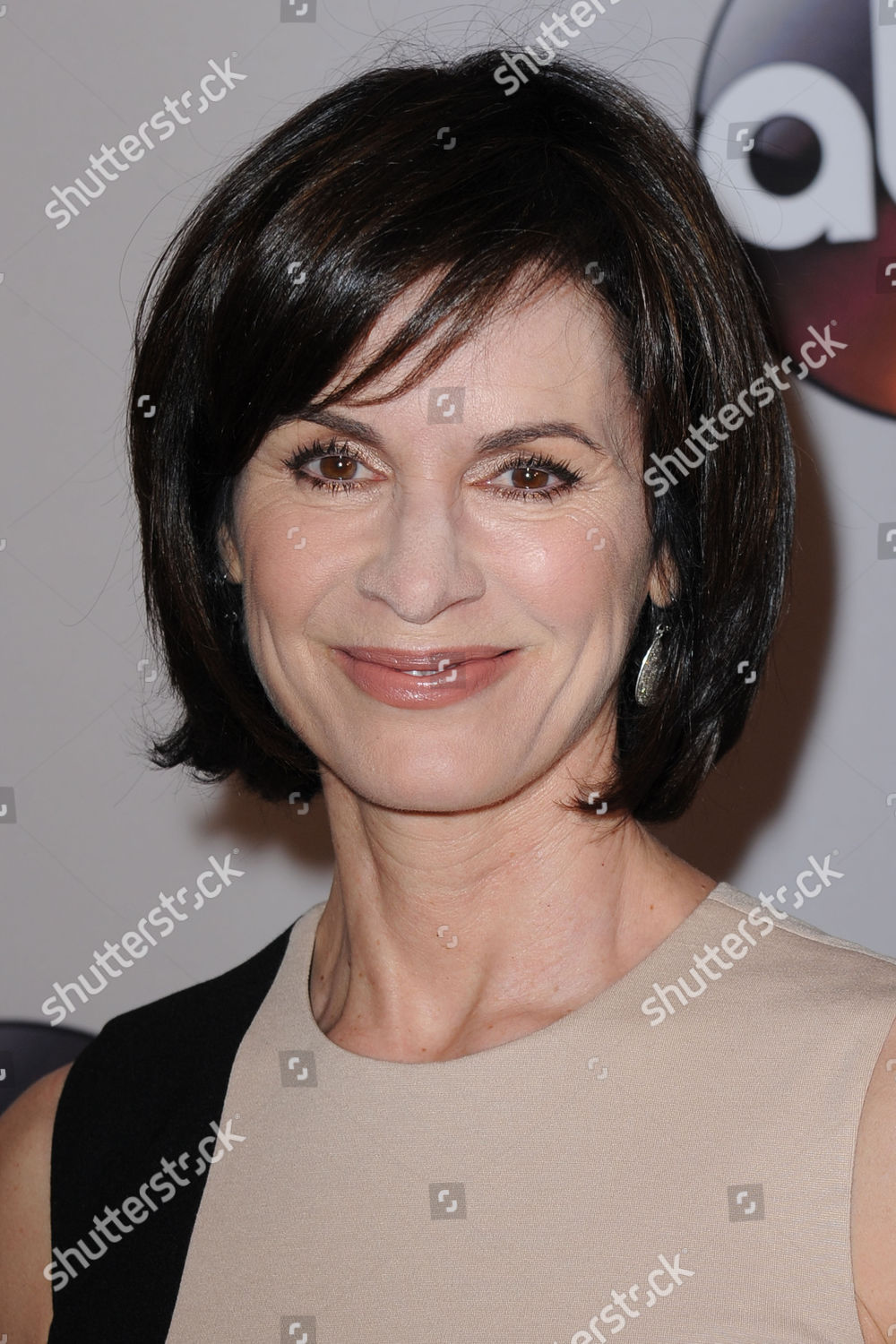 Elizabeth Vargas Editorial Stock Photo - Stock Image | Shutterstock