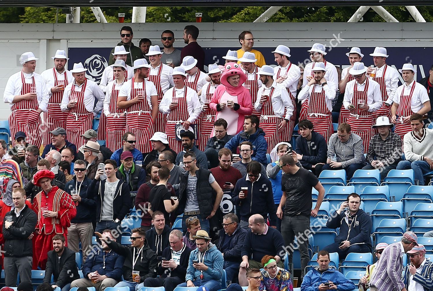 Cricket Fan Fancy Dress Pig Surrounded 