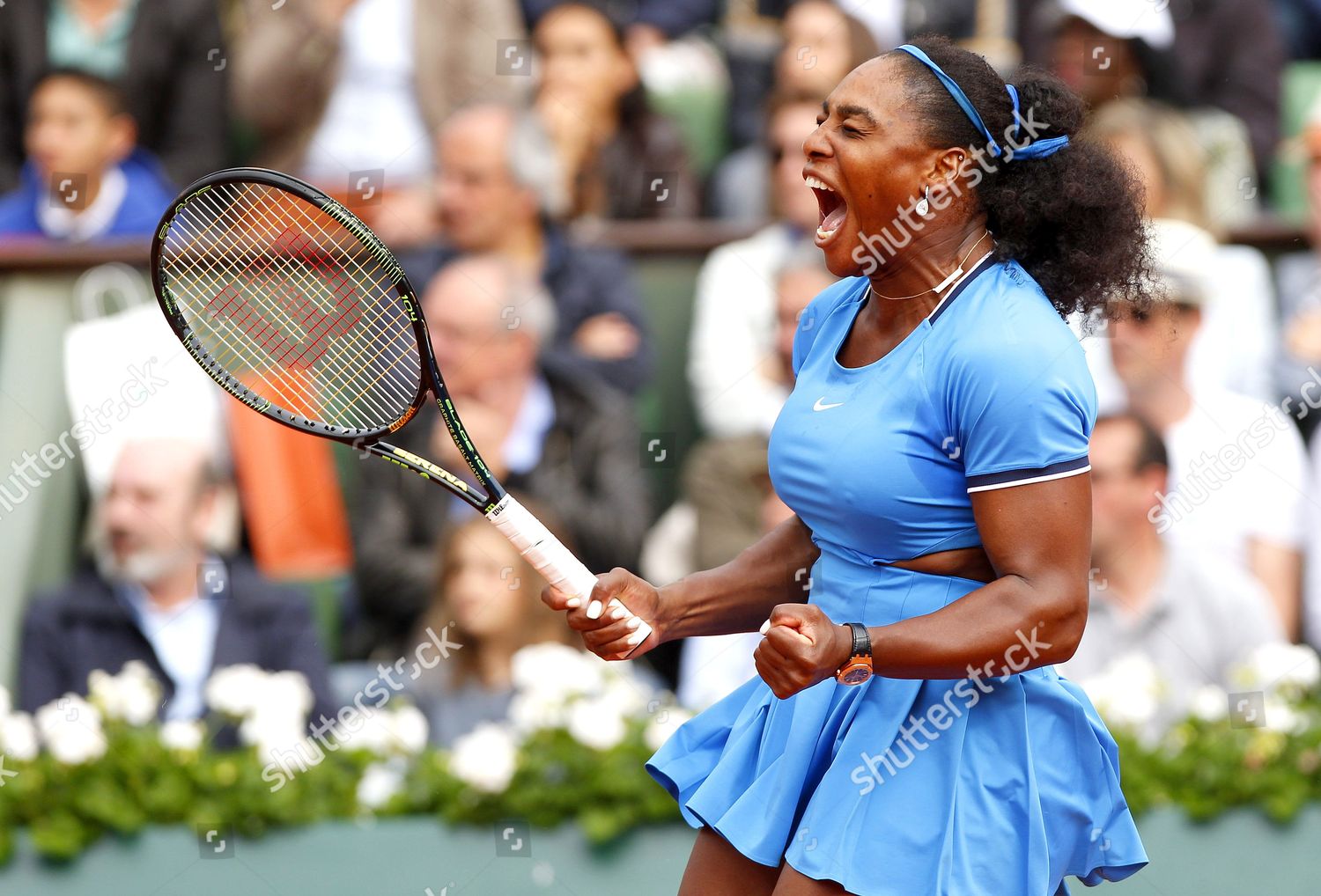 Serena Williams Usa Screams Celebration During Day Editorial Stock Photo Stock Image Shutterstock