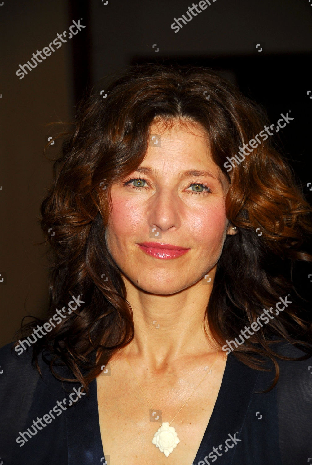 Catherine Keener Editorial Stock Photo - Stock Image | Shutterstock