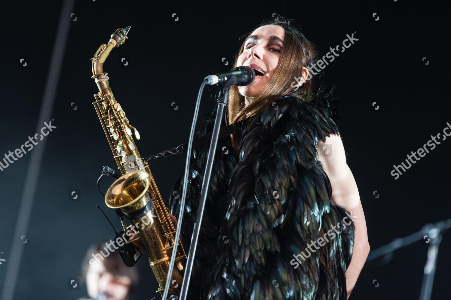 Pj Harvey Editorial Stock Photo - Stock Image | Shutterstock