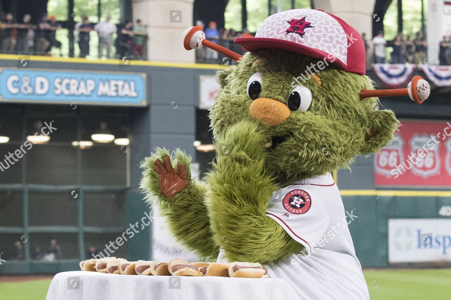 Pinterest  Mascot, Astros baseball, Houston astros