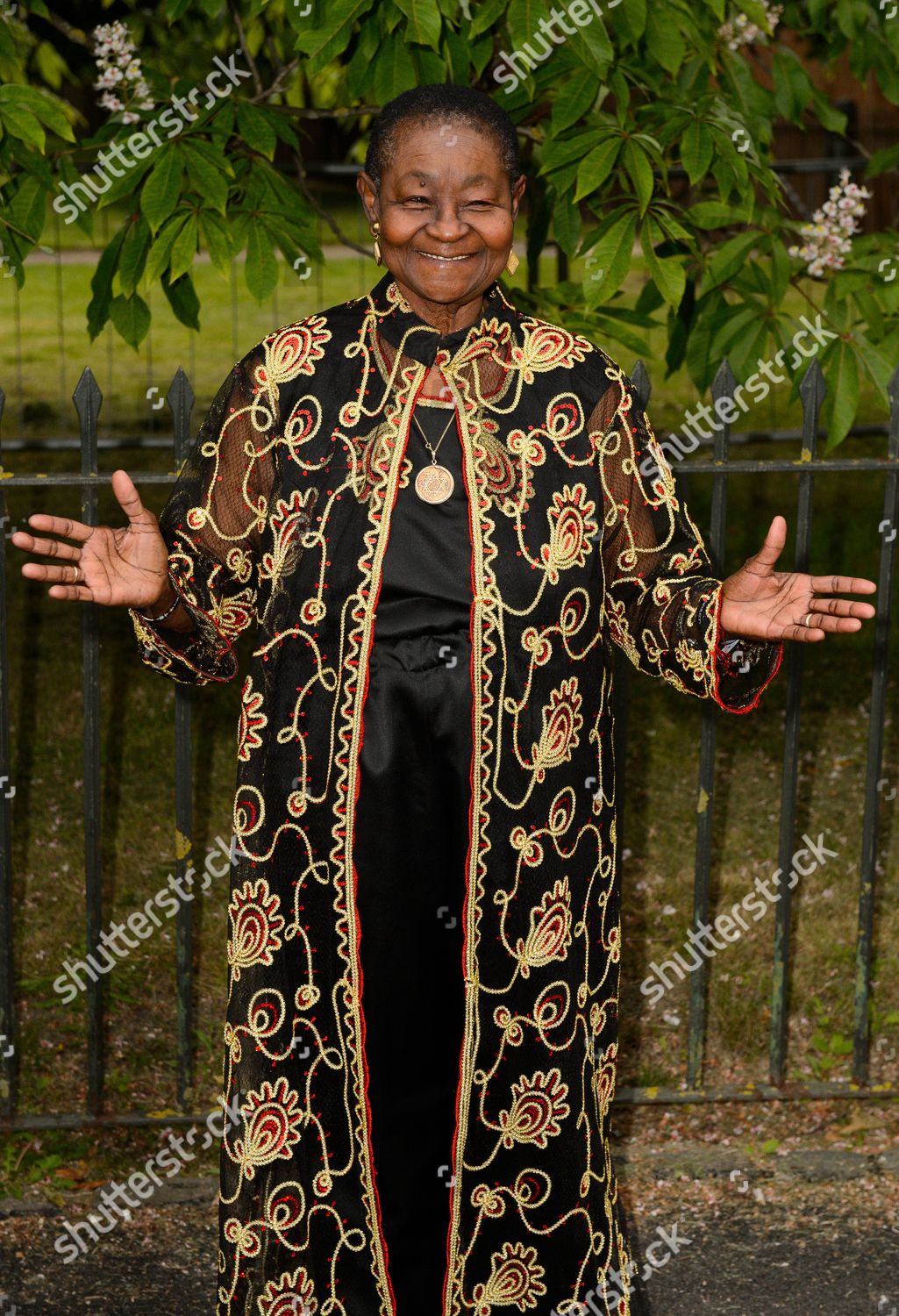 Calypso Rose Editorial Stock Photo Stock Image Shutterstock