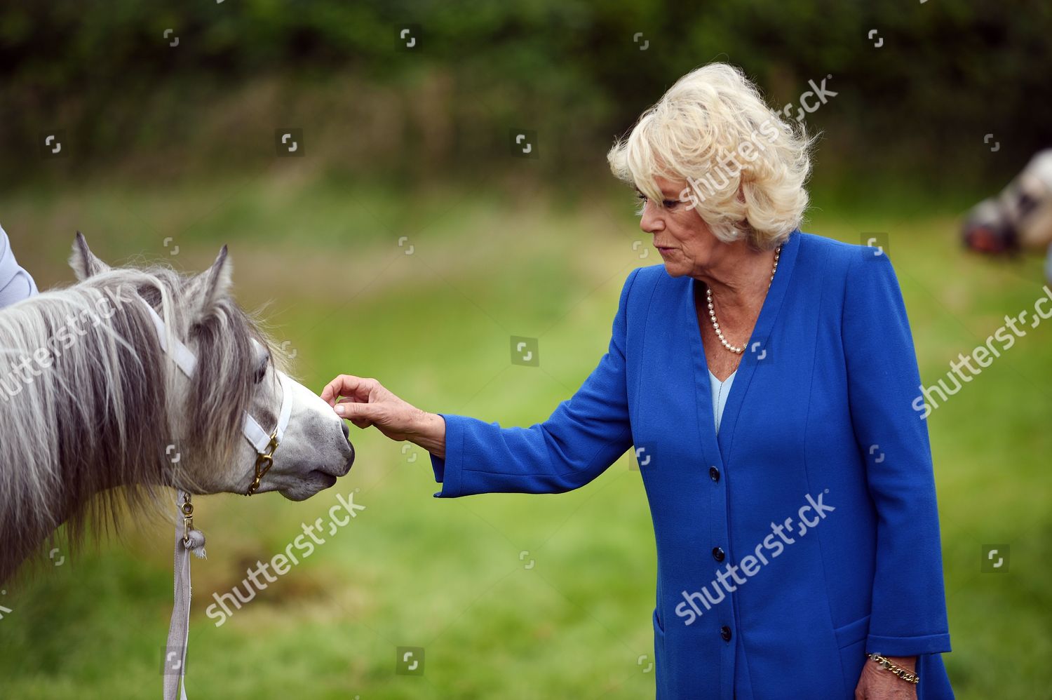 prince-charles-and-camilla-duchess-of-cornwall-visit-to-wales-uk-shutterstock-editorial-5753400q.jpg