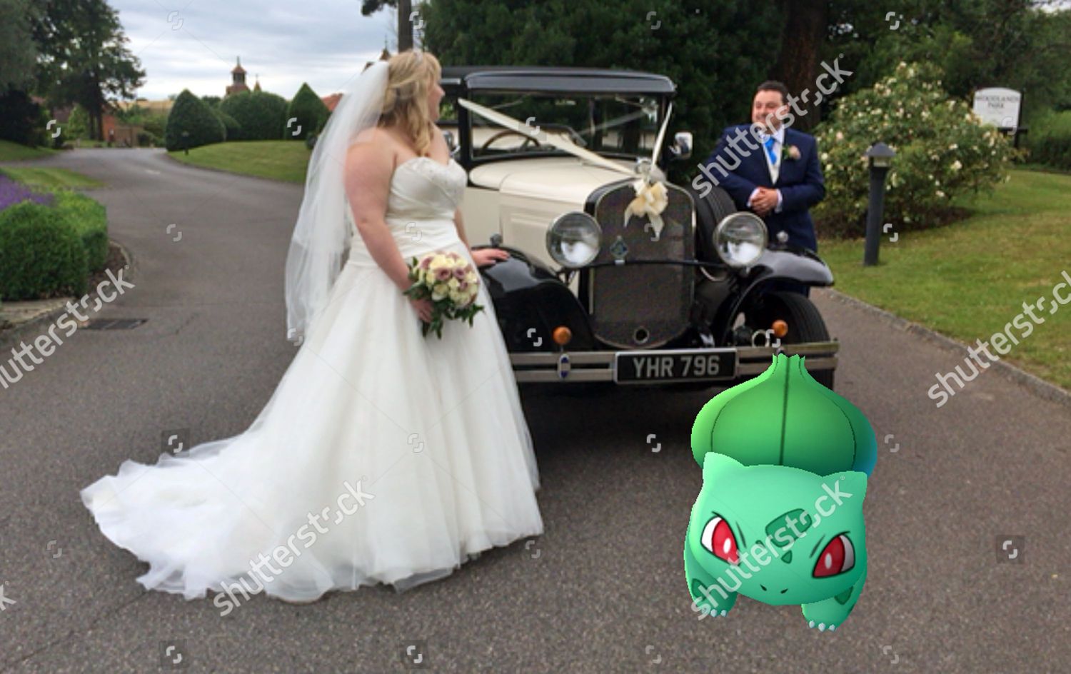 Bulbasaur Watches Bride Arriving Reception Pokemon Characters