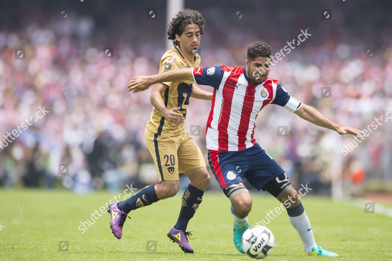 chivas v pumas