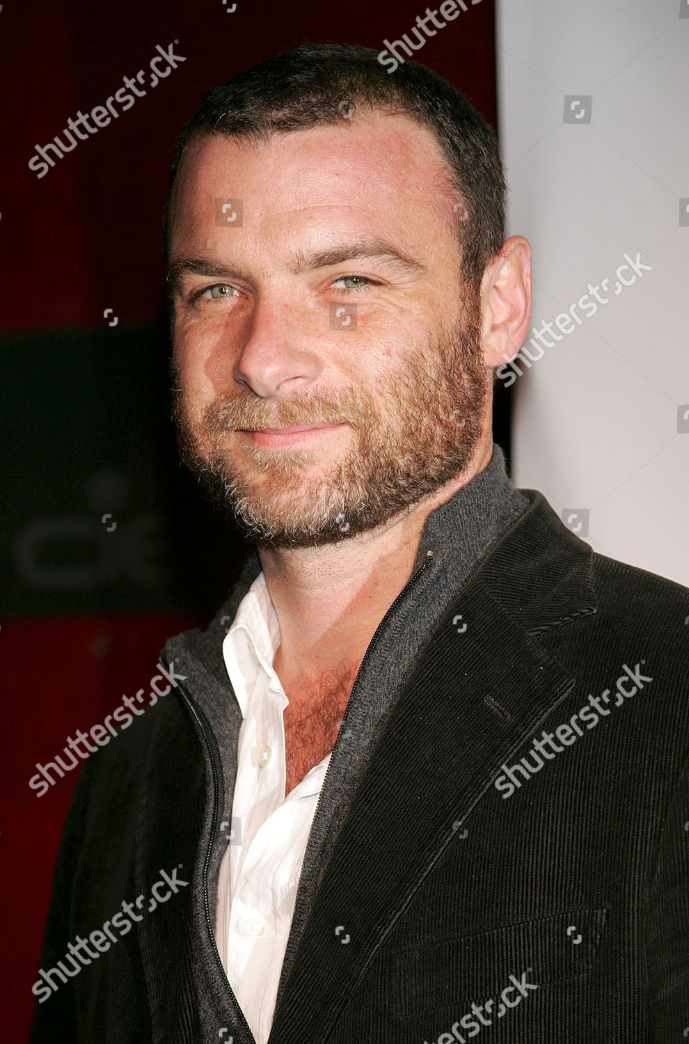 Liev Schreiber Editorial Stock Photo - Stock Image | Shutterstock