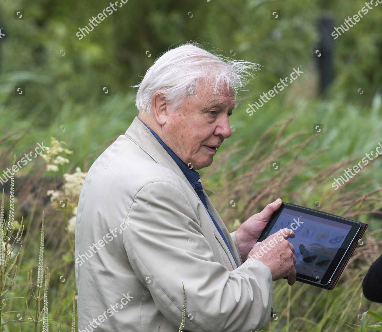 Sir David Attenborough President Butterfly Conservation