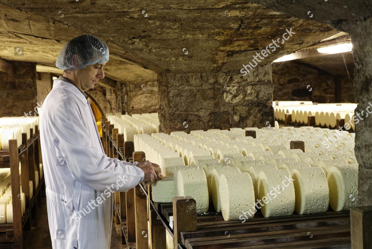 Model Released Master Cheese Maker Rows Editorial Stock Photo Stock